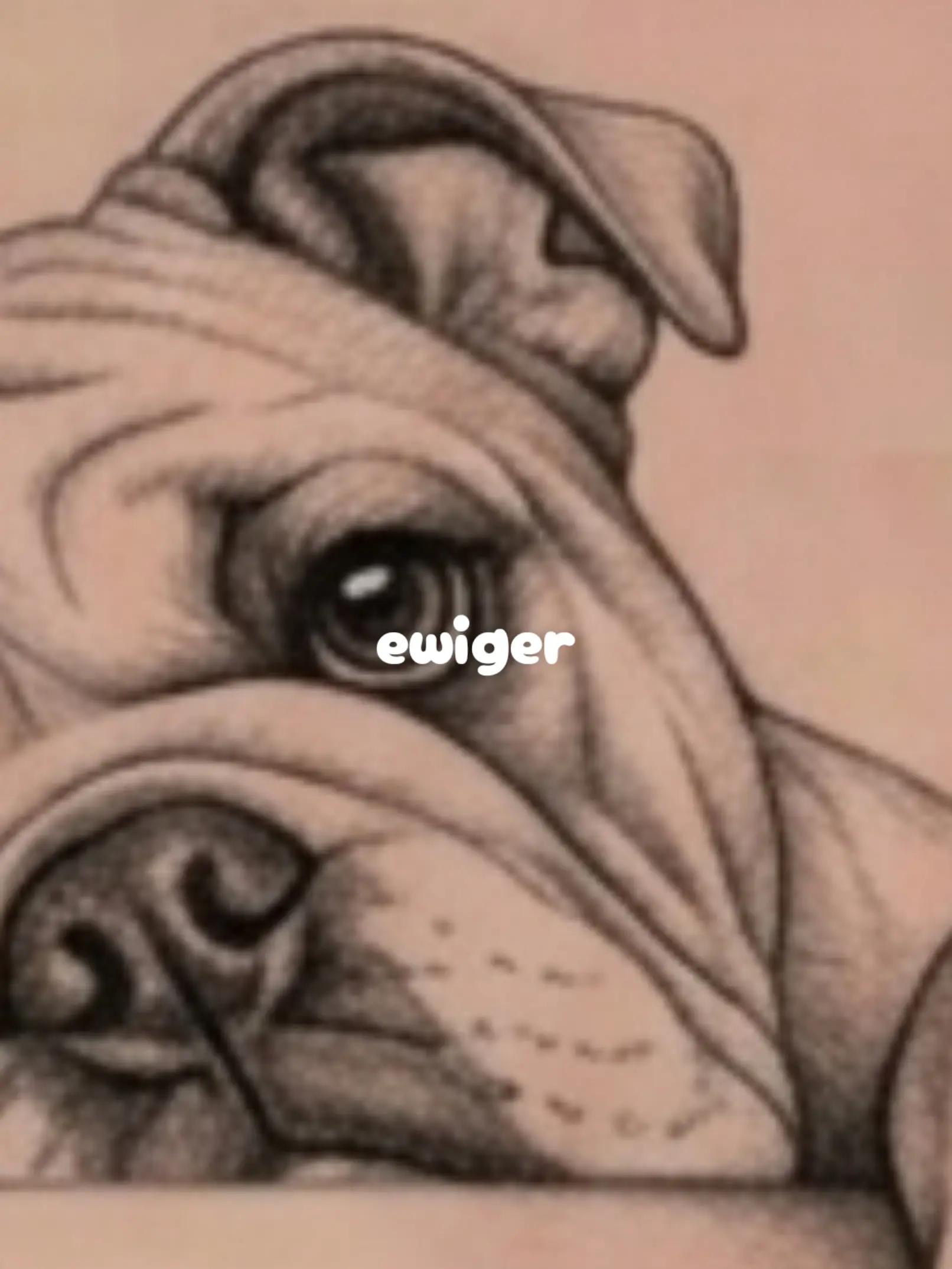 @ᗴᗰᗰƳ & 丅ᗴɊᑌᎥᒪᗩ         ᗯᗝᖇᒪᗪ