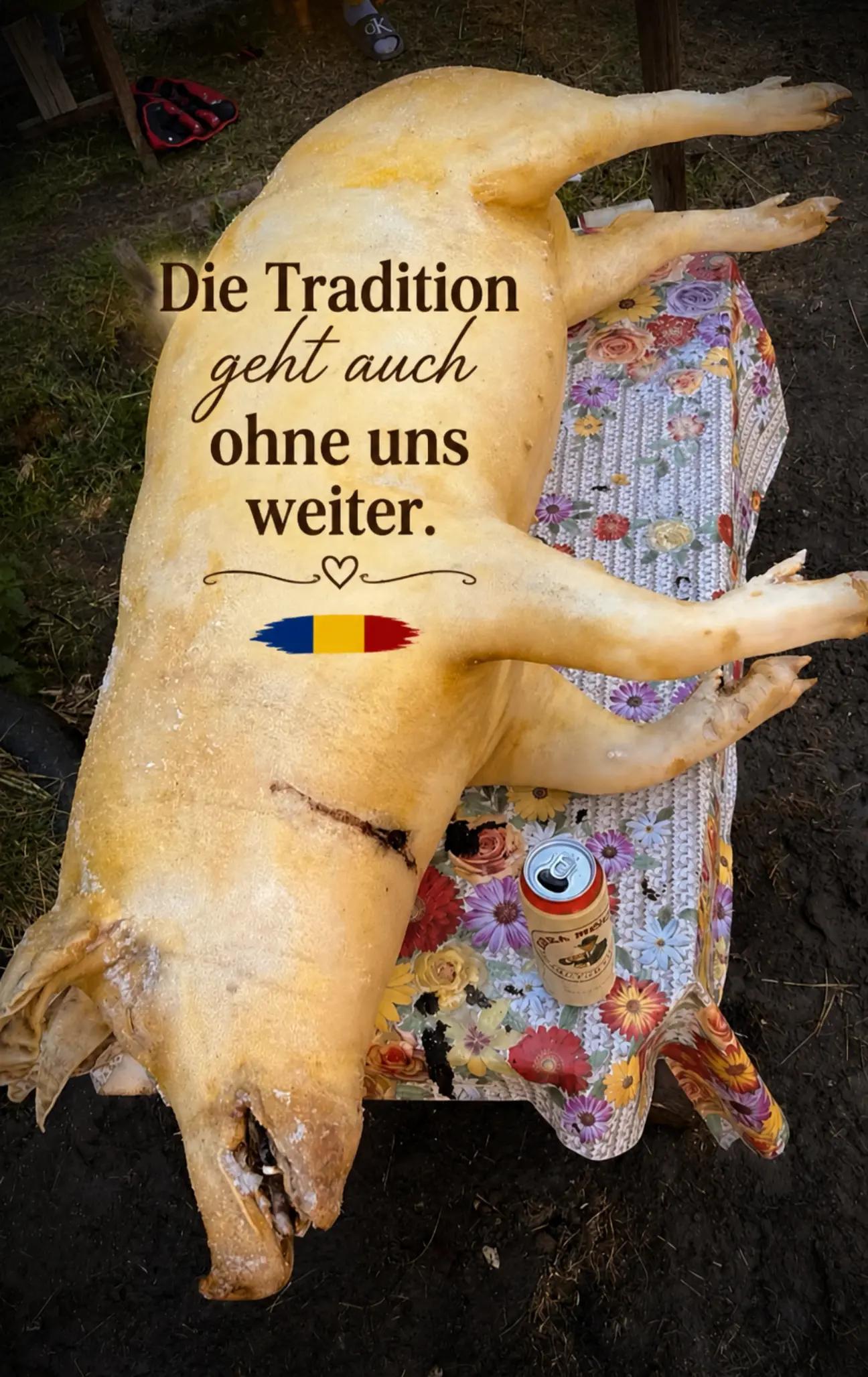 @🇷🇴Alexa-Maria 🇩🇪