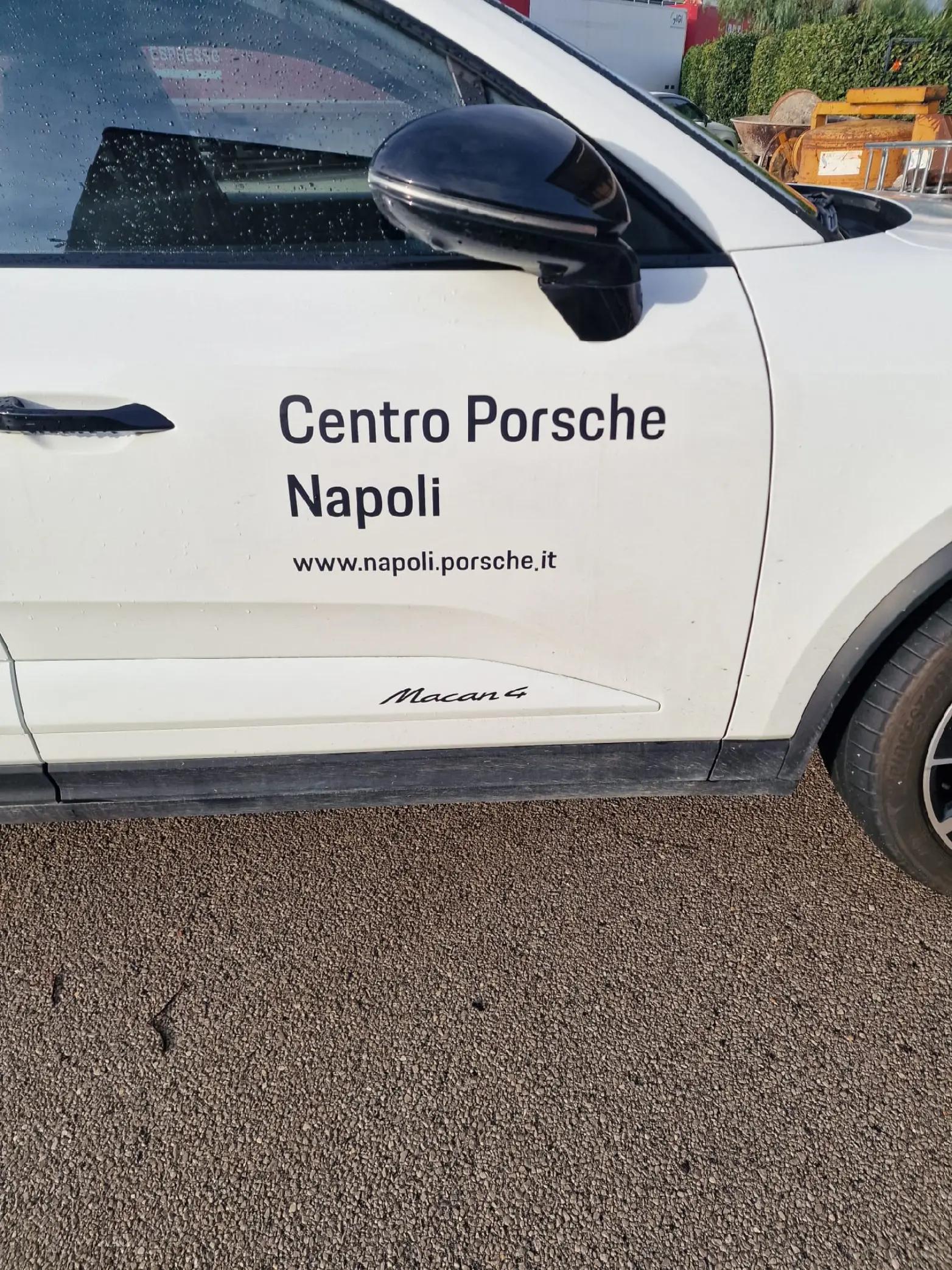 @domenicopeluso6