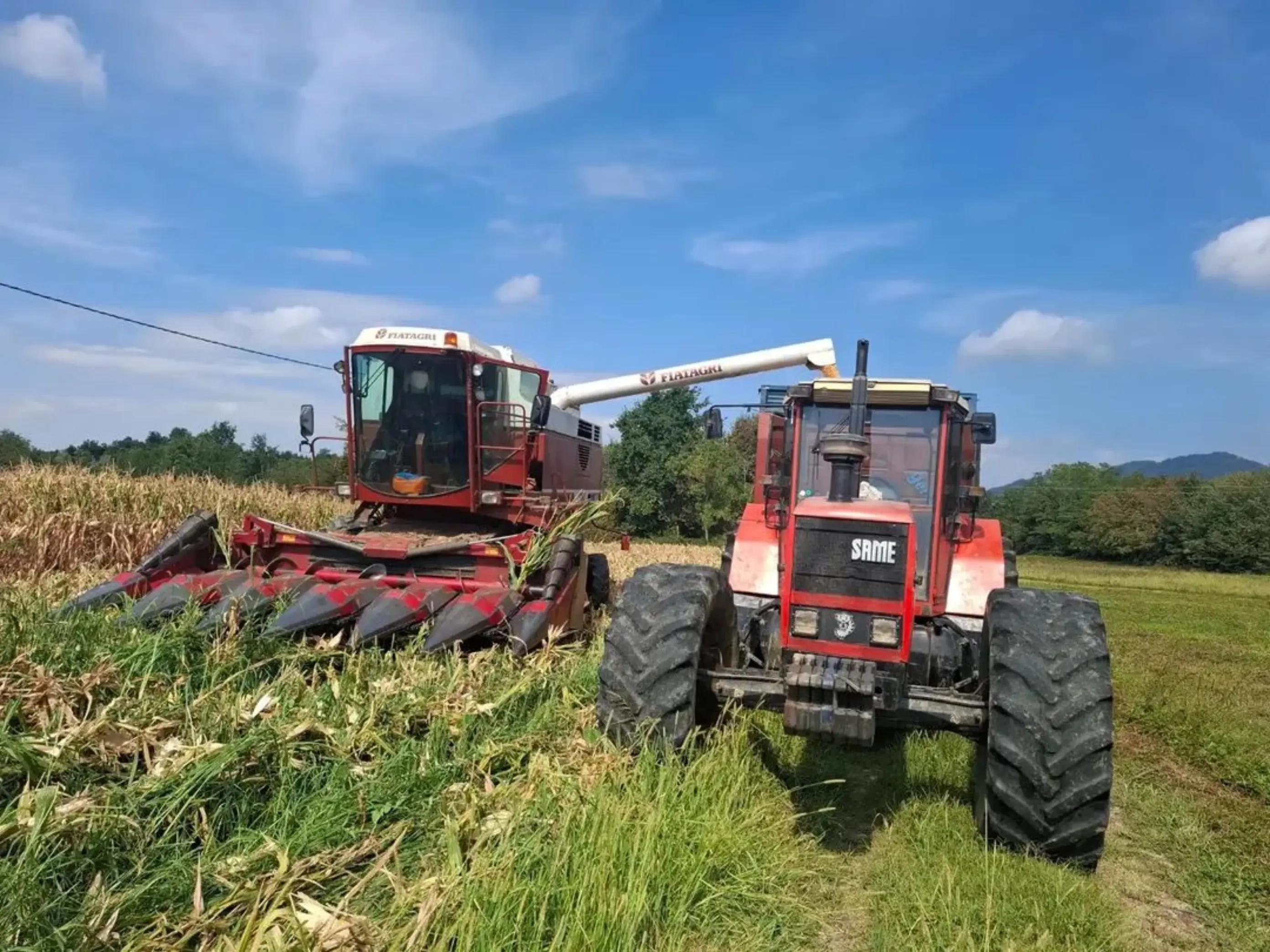 @TEO93.AGROTECH