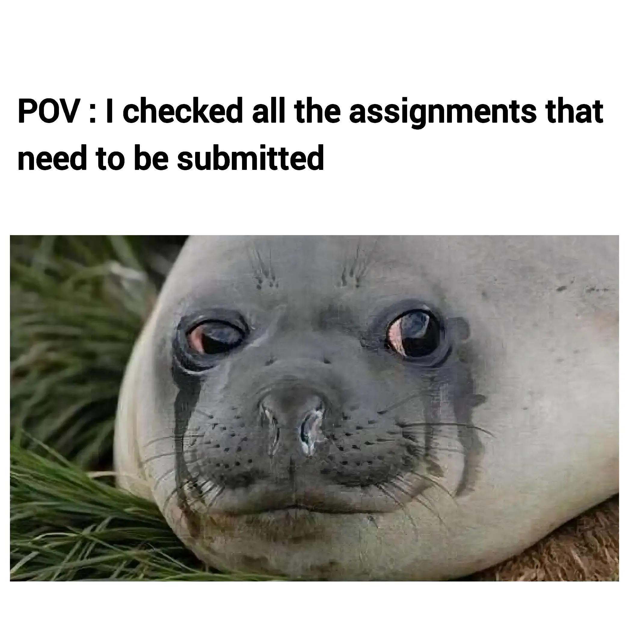 @Your College Helper