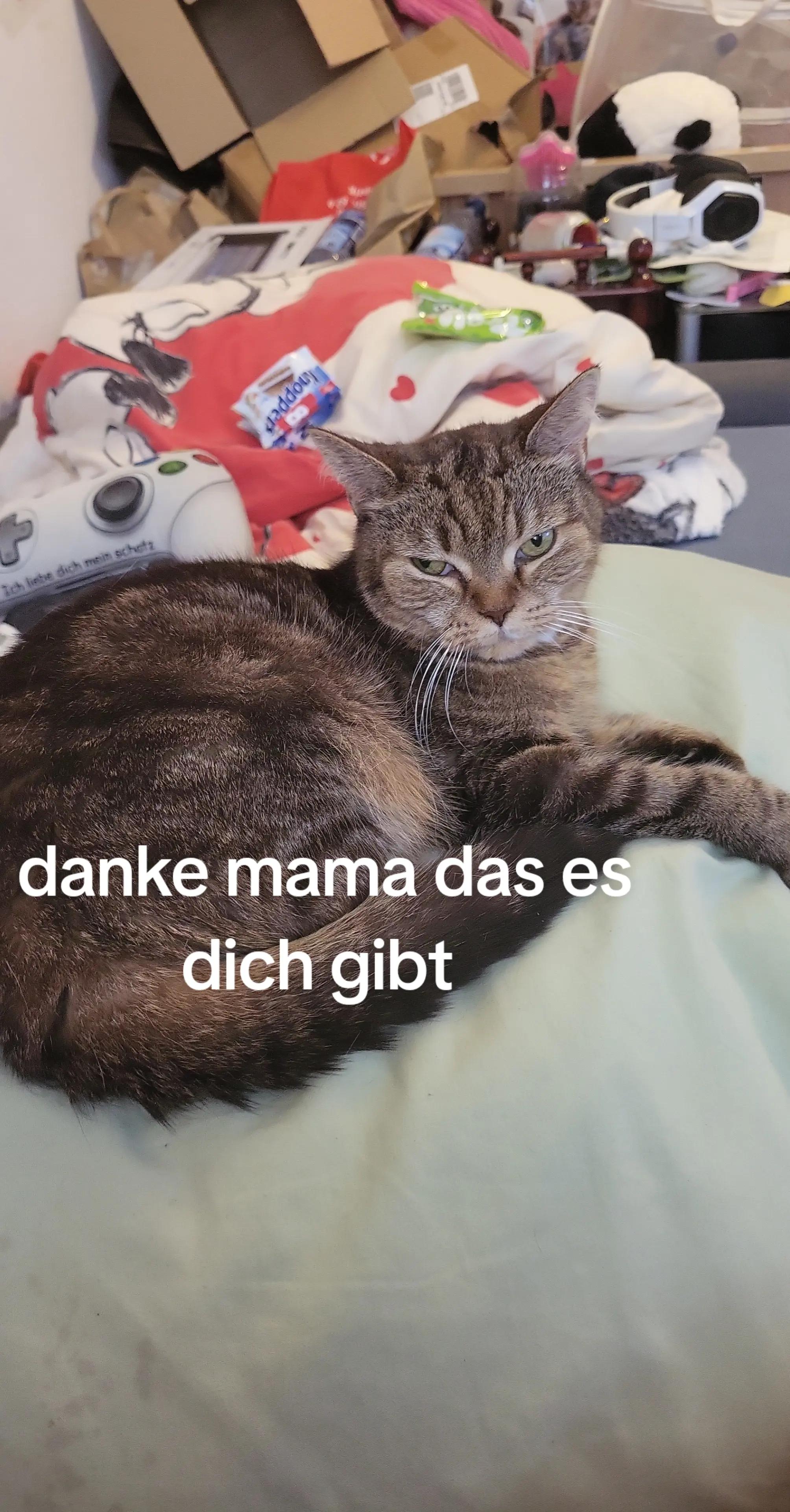 @Frau von sprechende Tomate