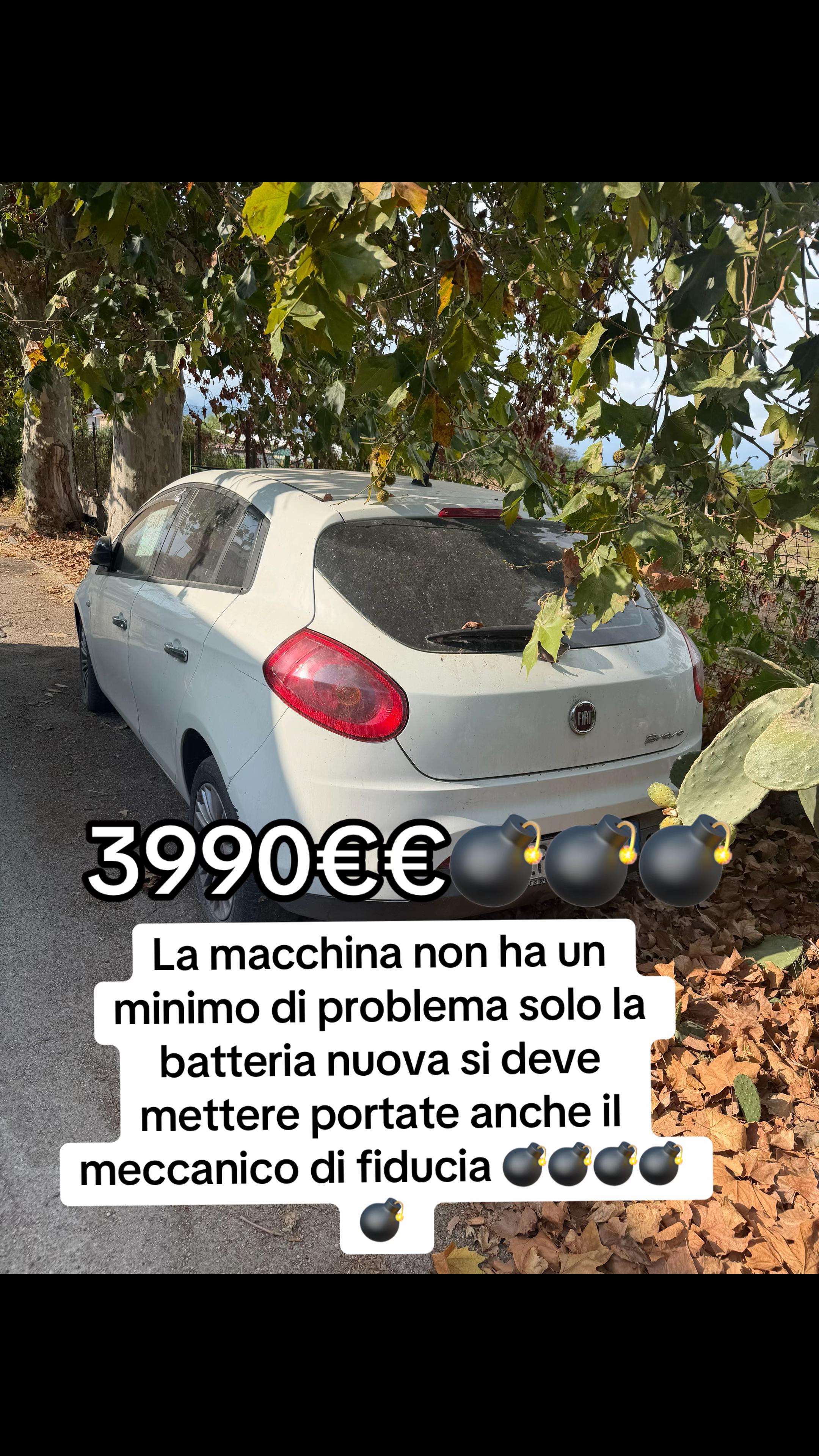 @🤴alducc🤴