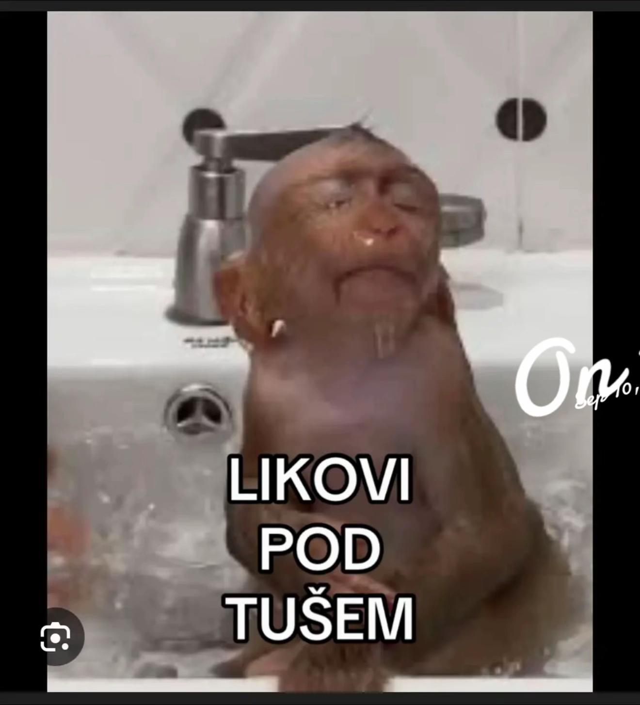 @Loreta Bačić