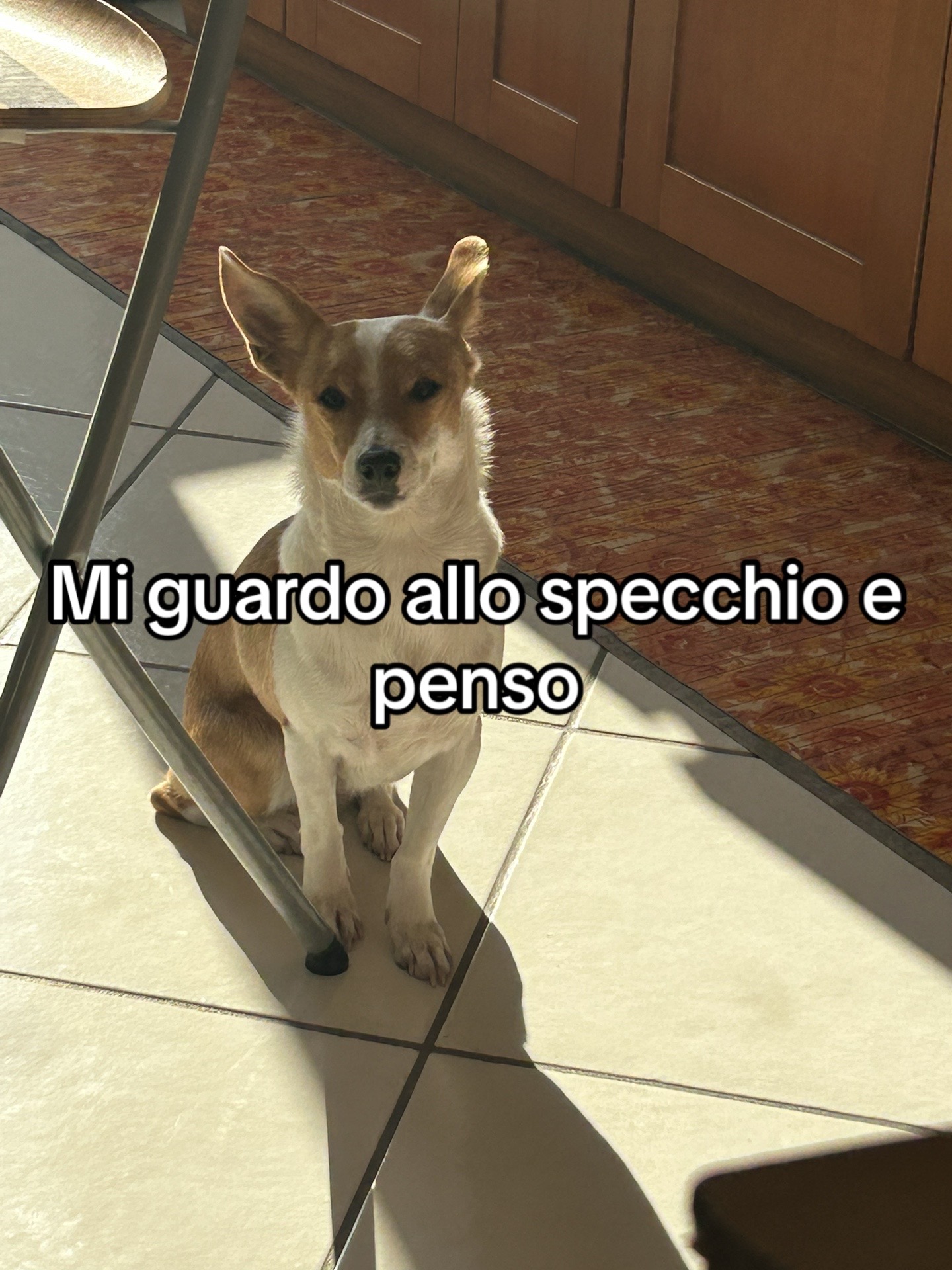 @Noemi D'Alessandro