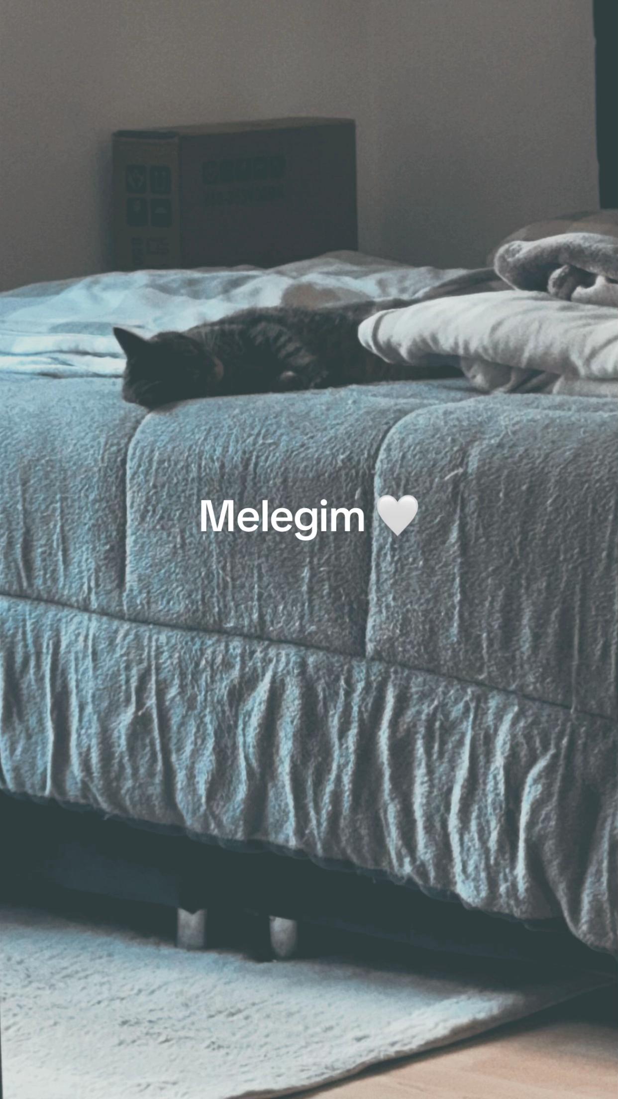 @🐾MILKAM🖤WHISKEYM🩶🐾A❤️🫂