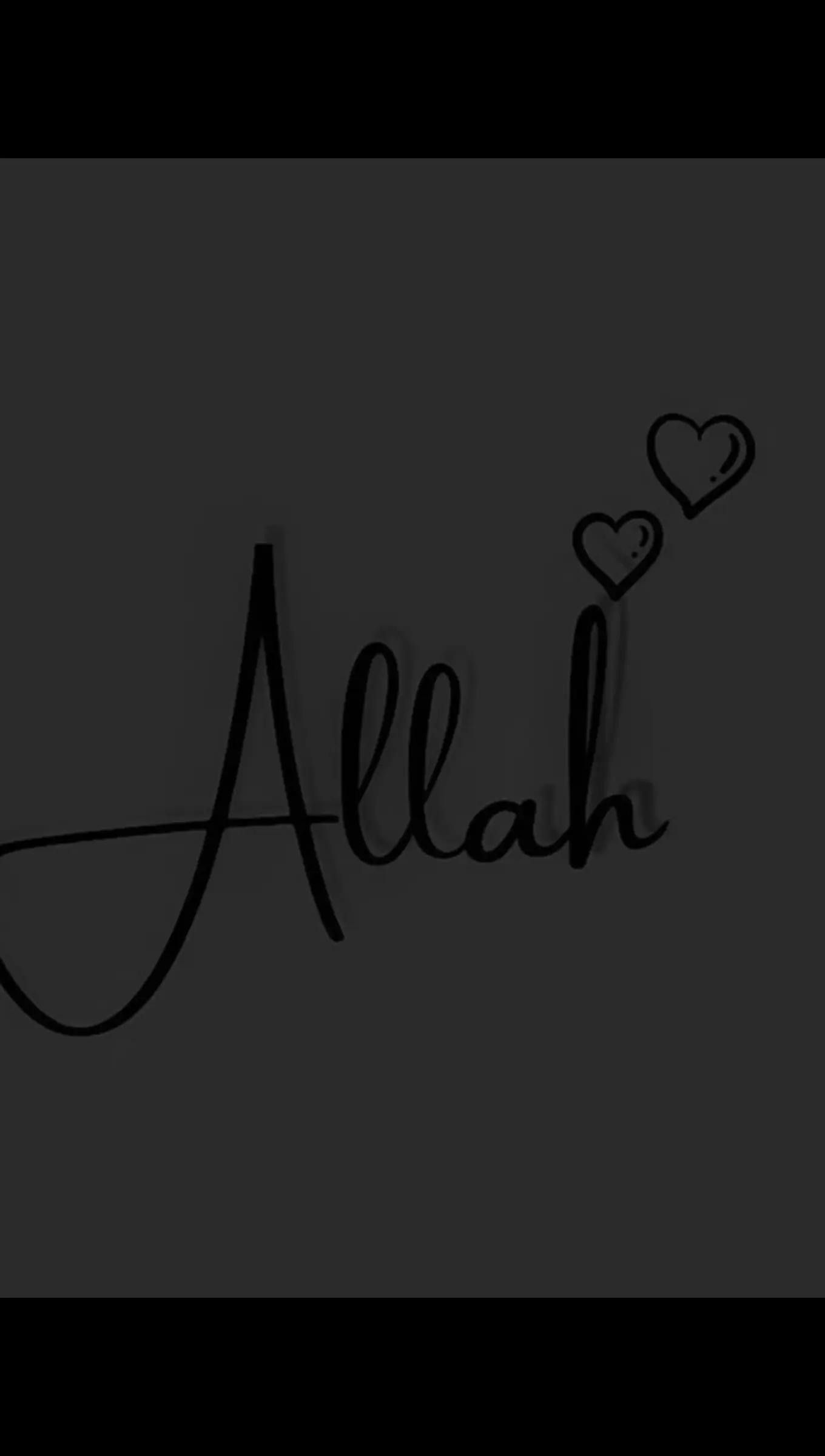 @─┅ঊঈ🌹﷽313﷽ 🌹ঊঈ┅─