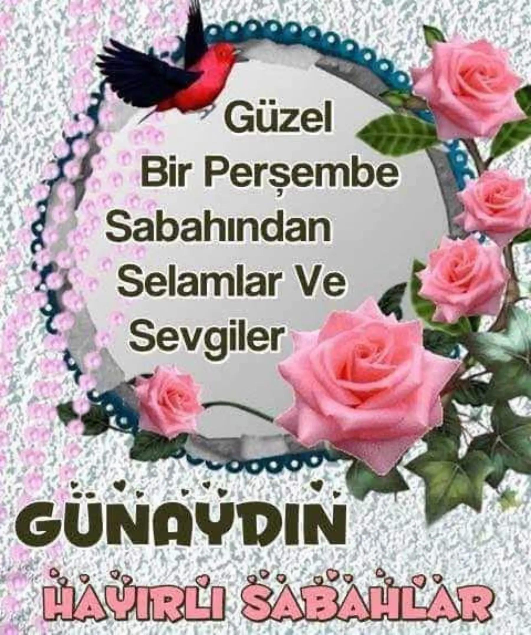 @Tennur yılamaz