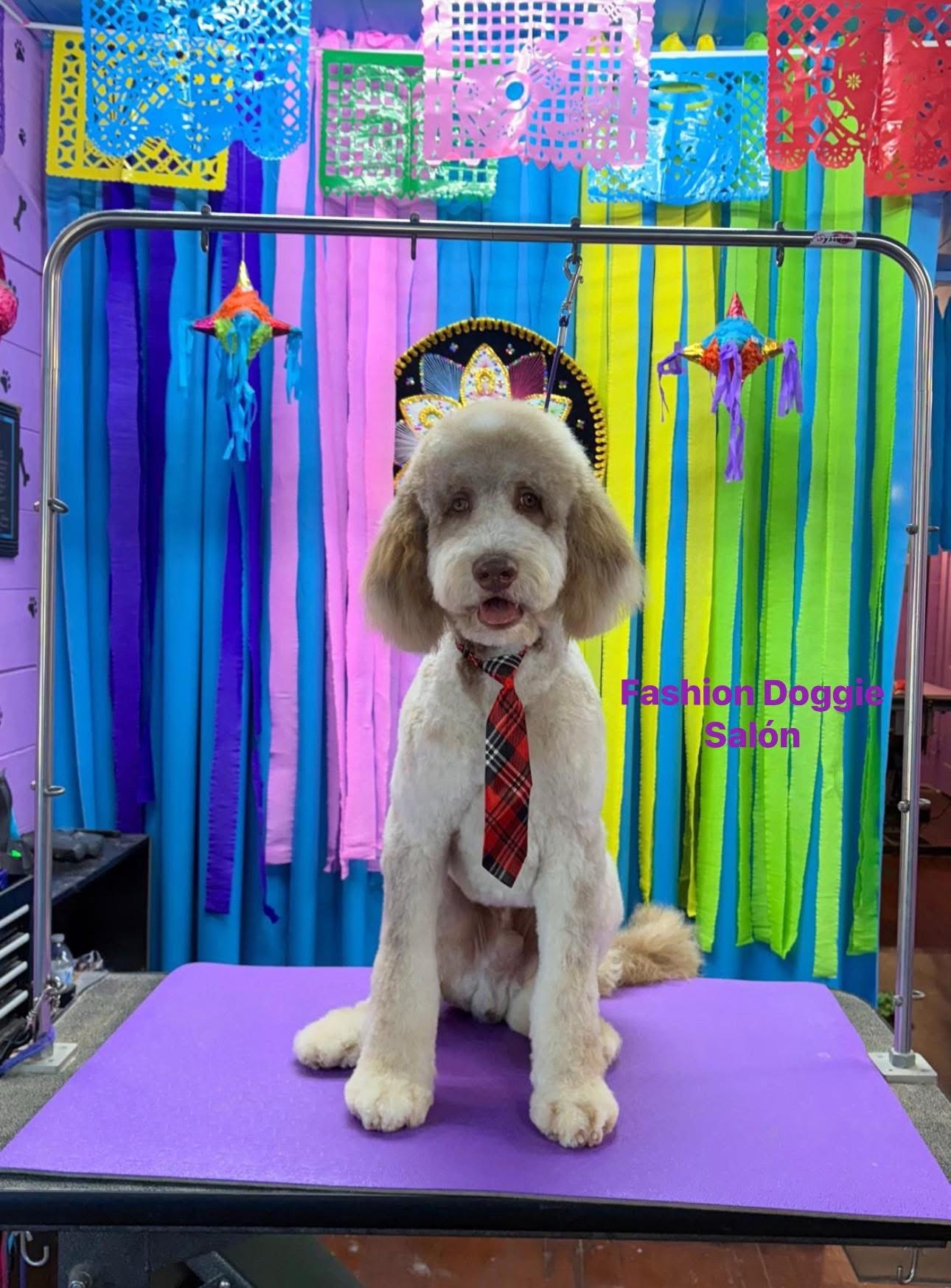 @fashion.doggie.salon