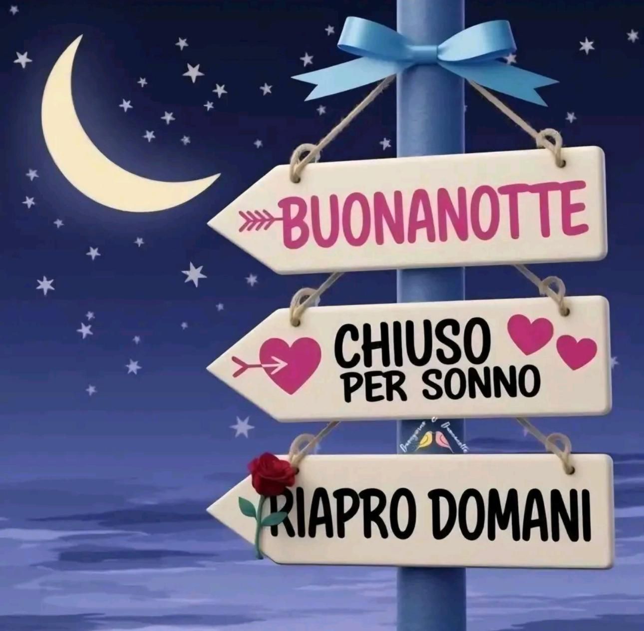 @domenicopeluso6