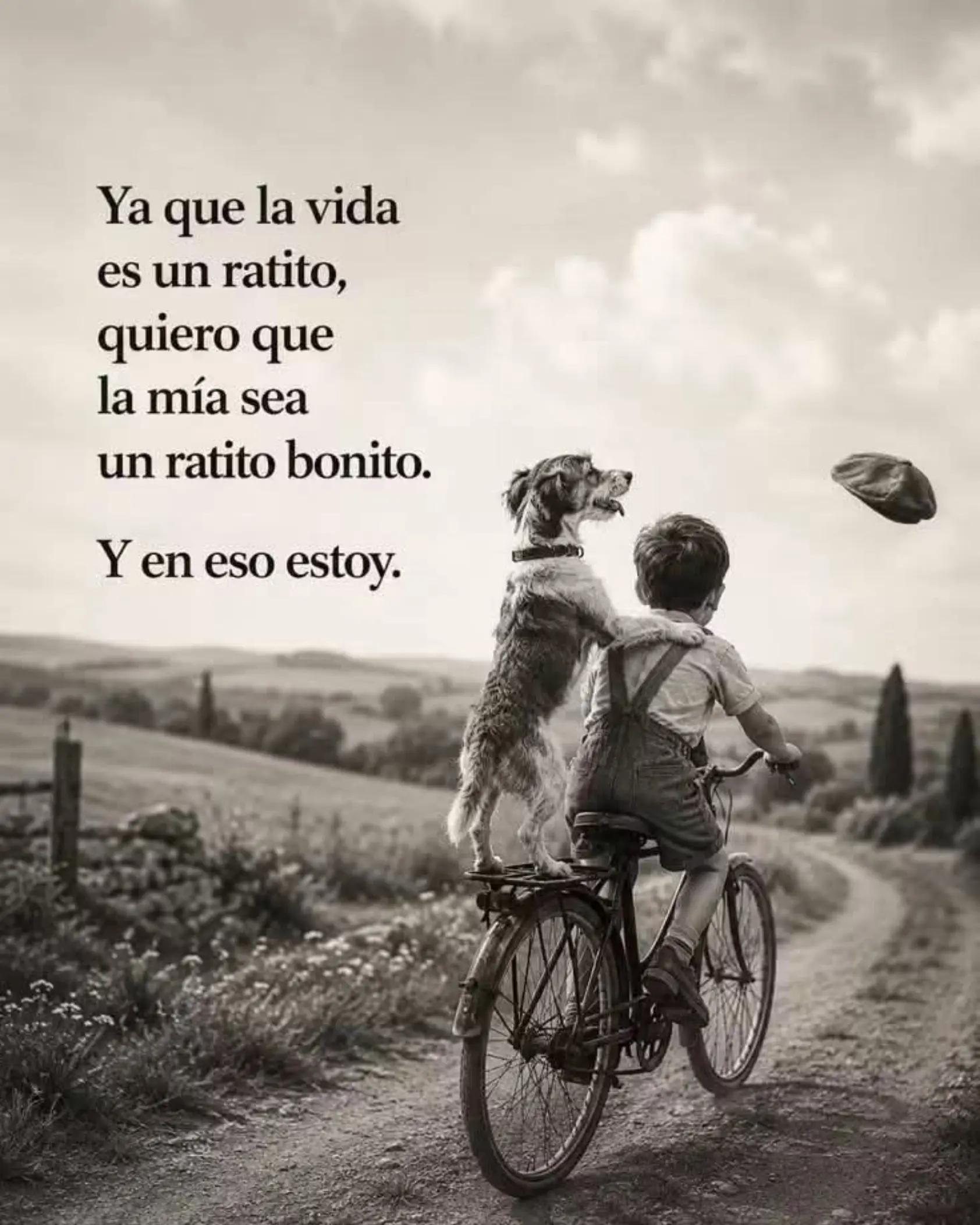 @clararabadan292