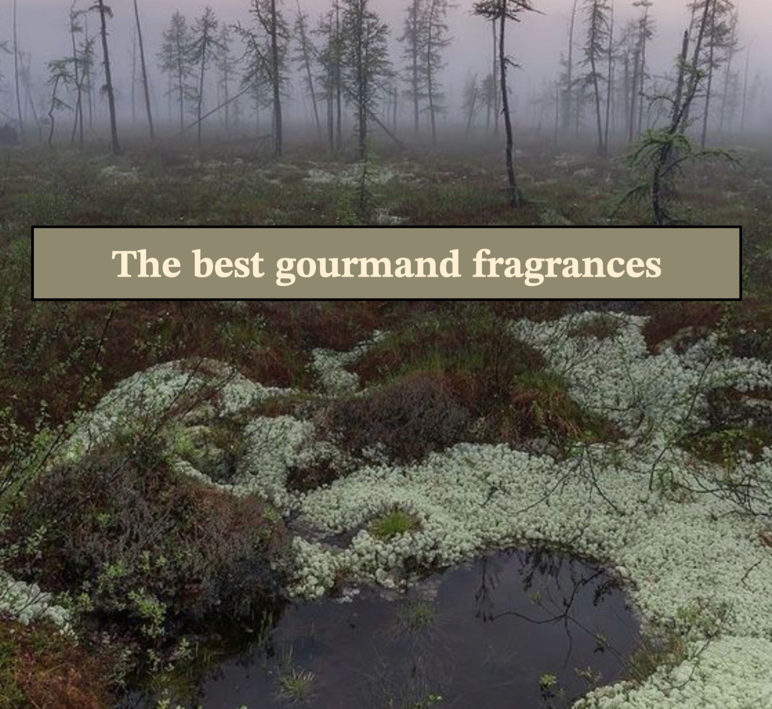 @gardenfragrances