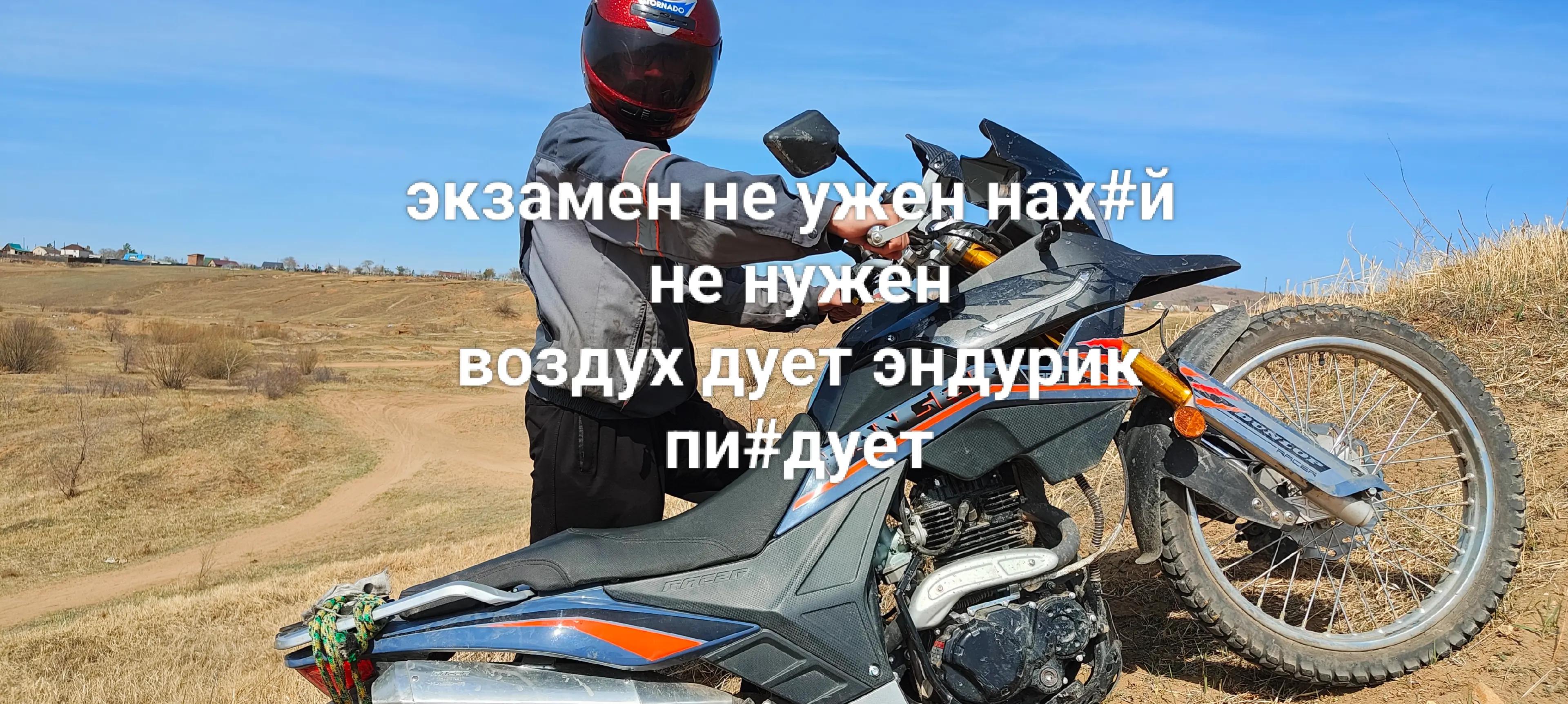 @Король