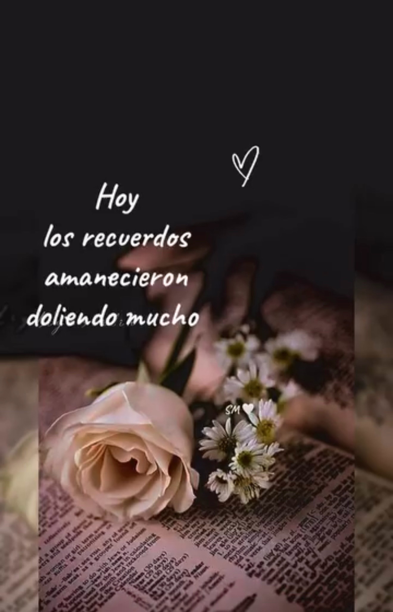 @susanamartinez1634
