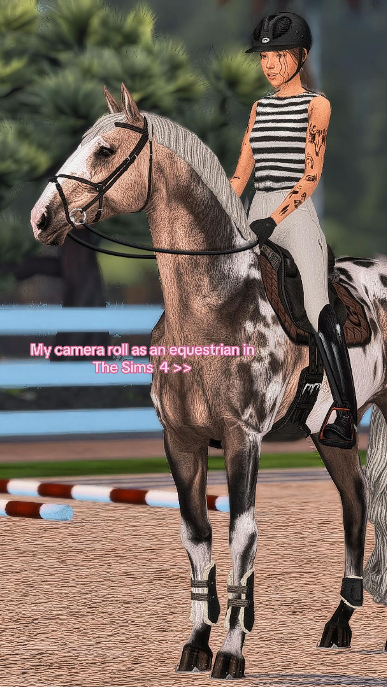 @mainorhillsstud