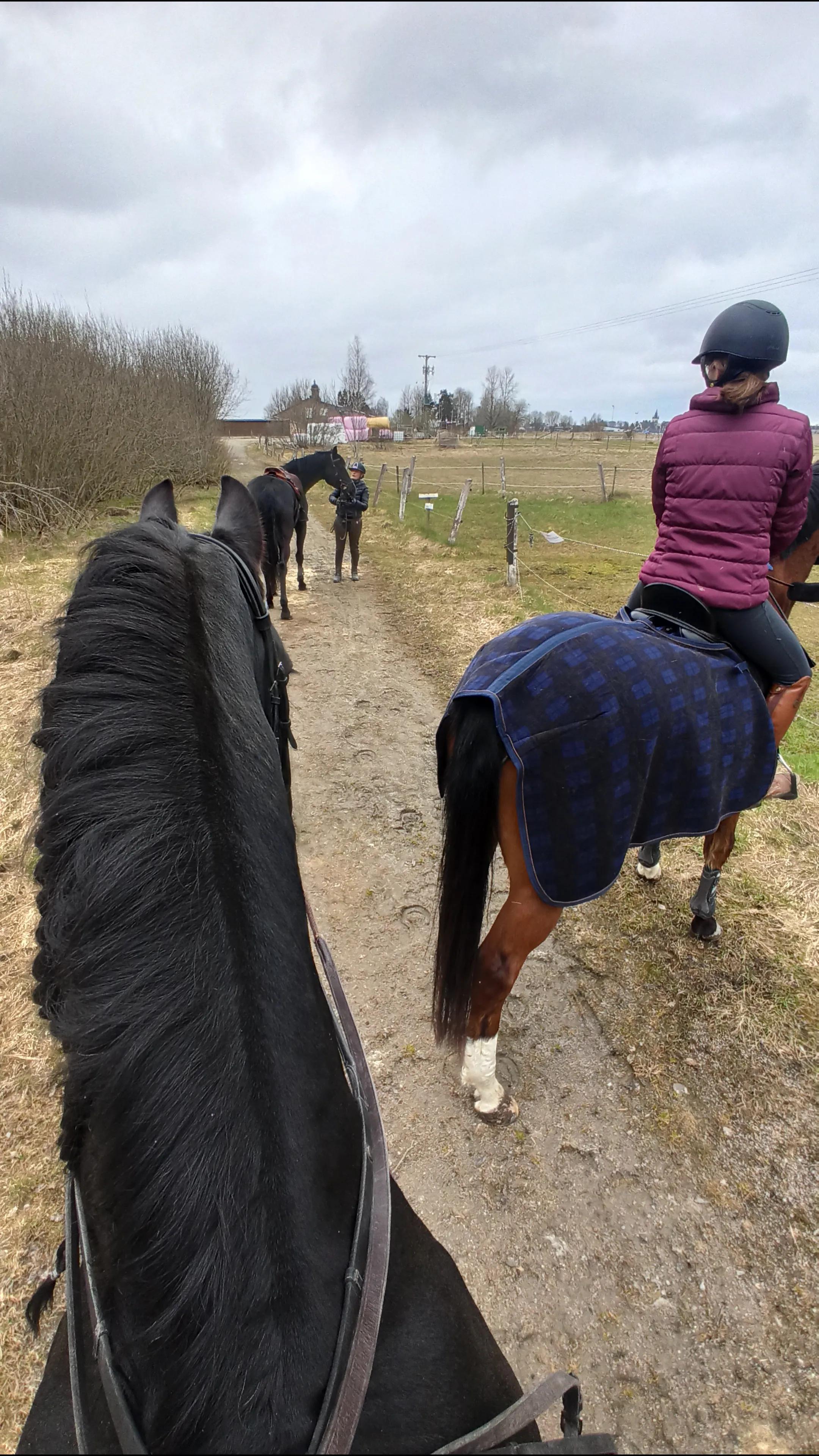 @ErnstVanDeGelderdijk