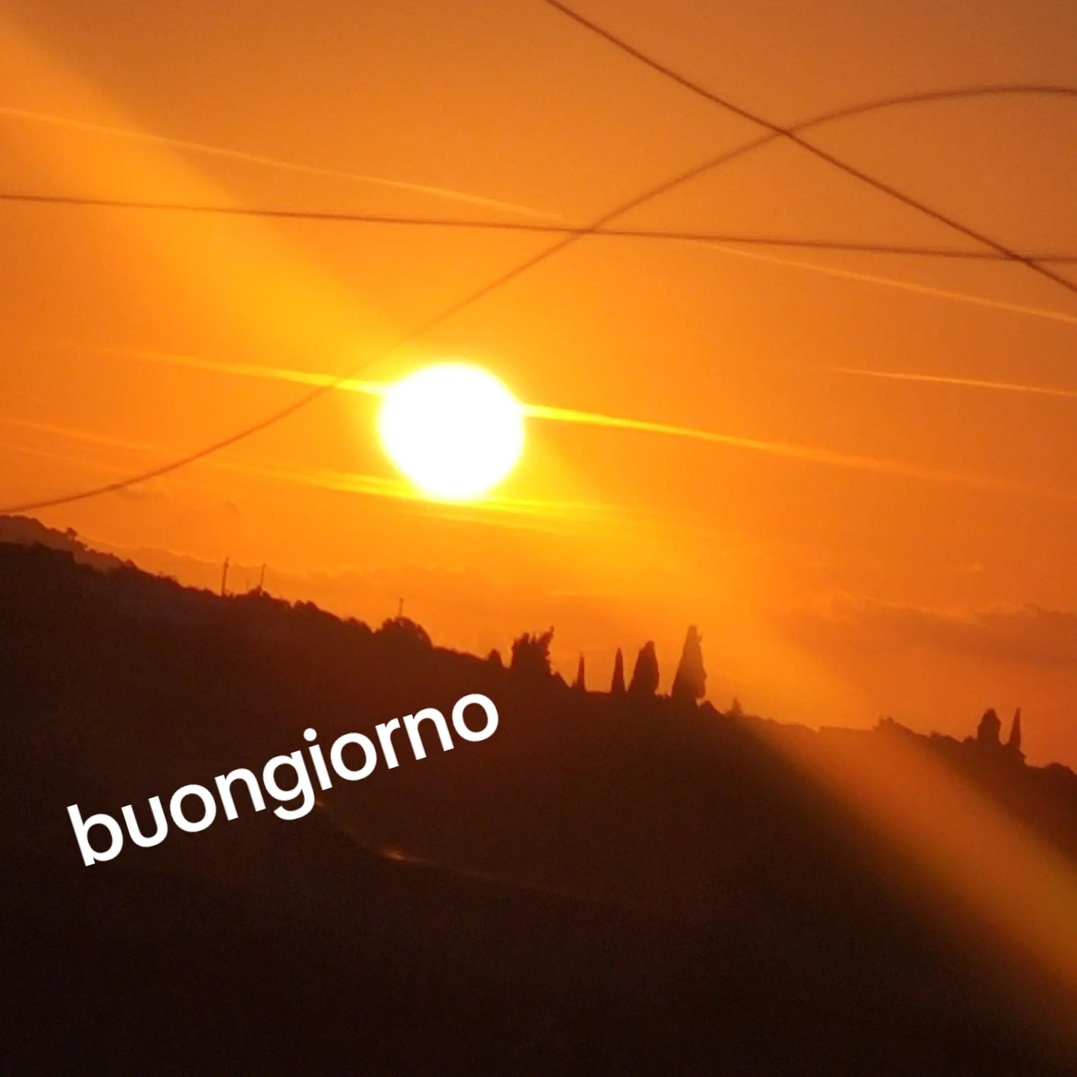 @giovi