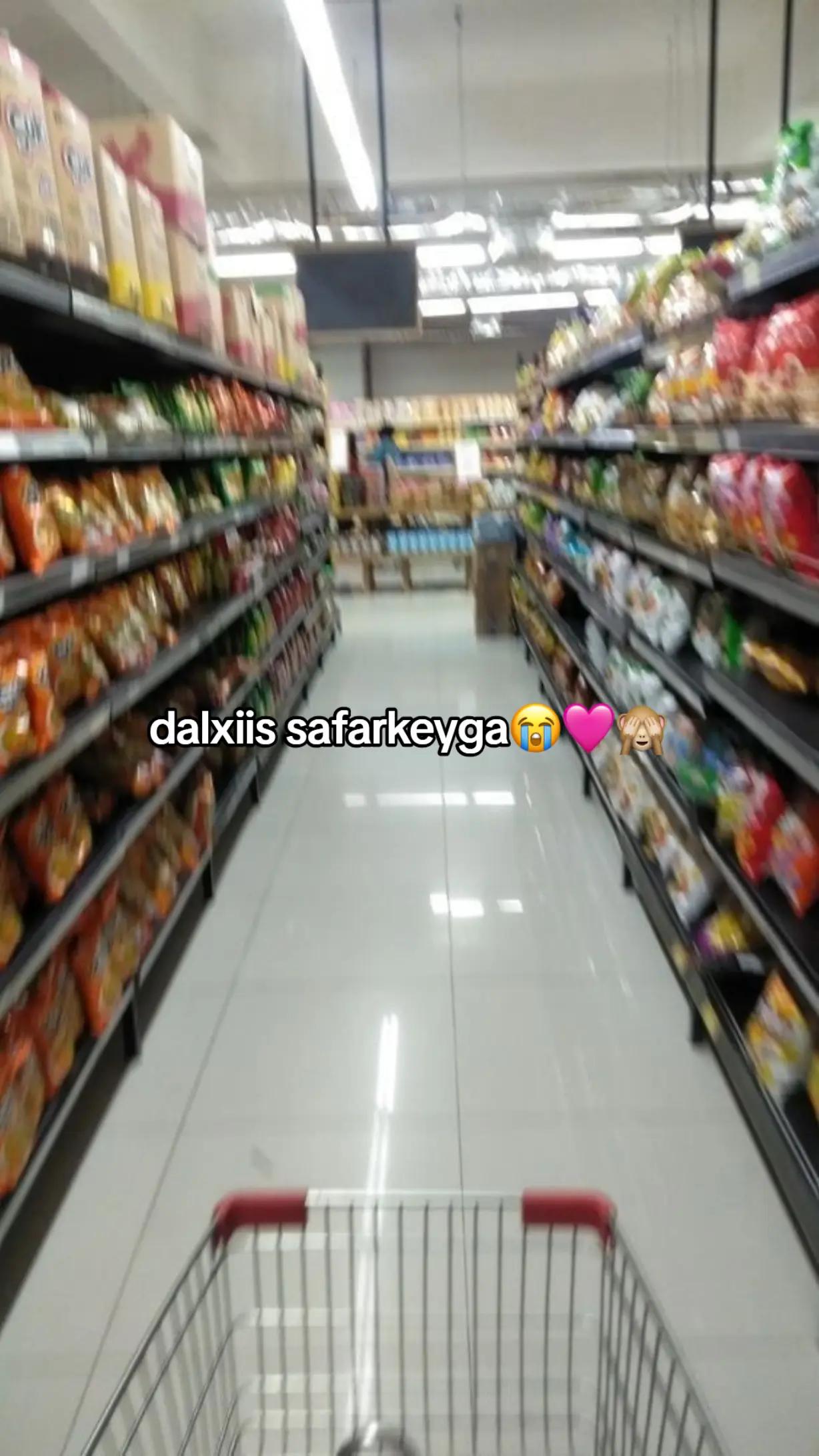@AyaXee🐸🧝&zwj;♂️