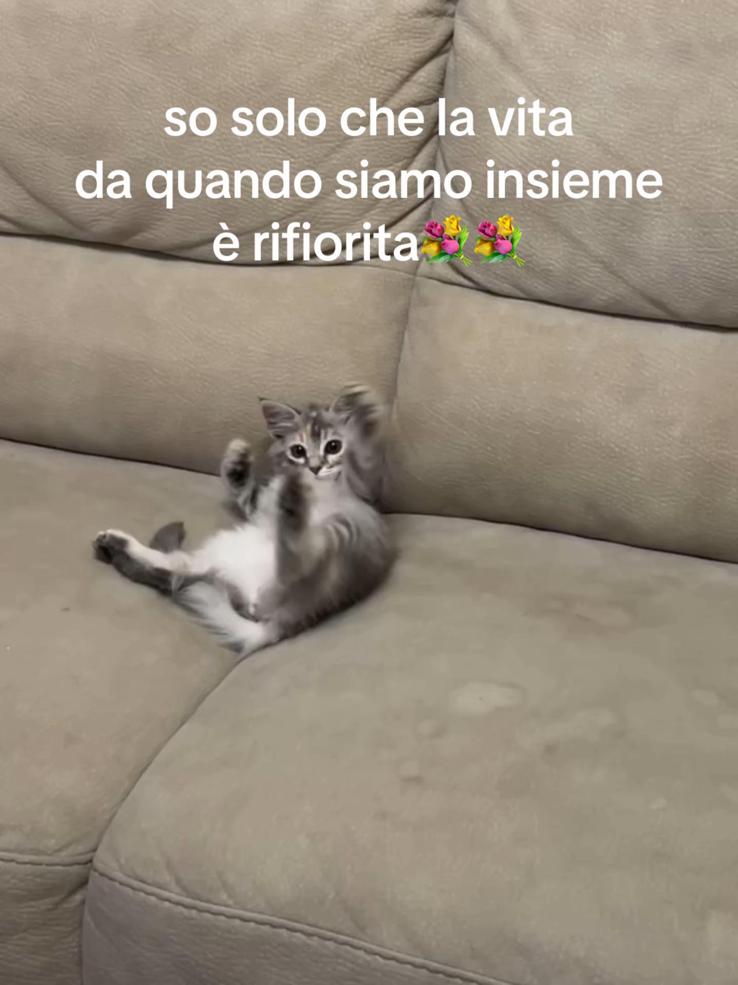 @ele🫂