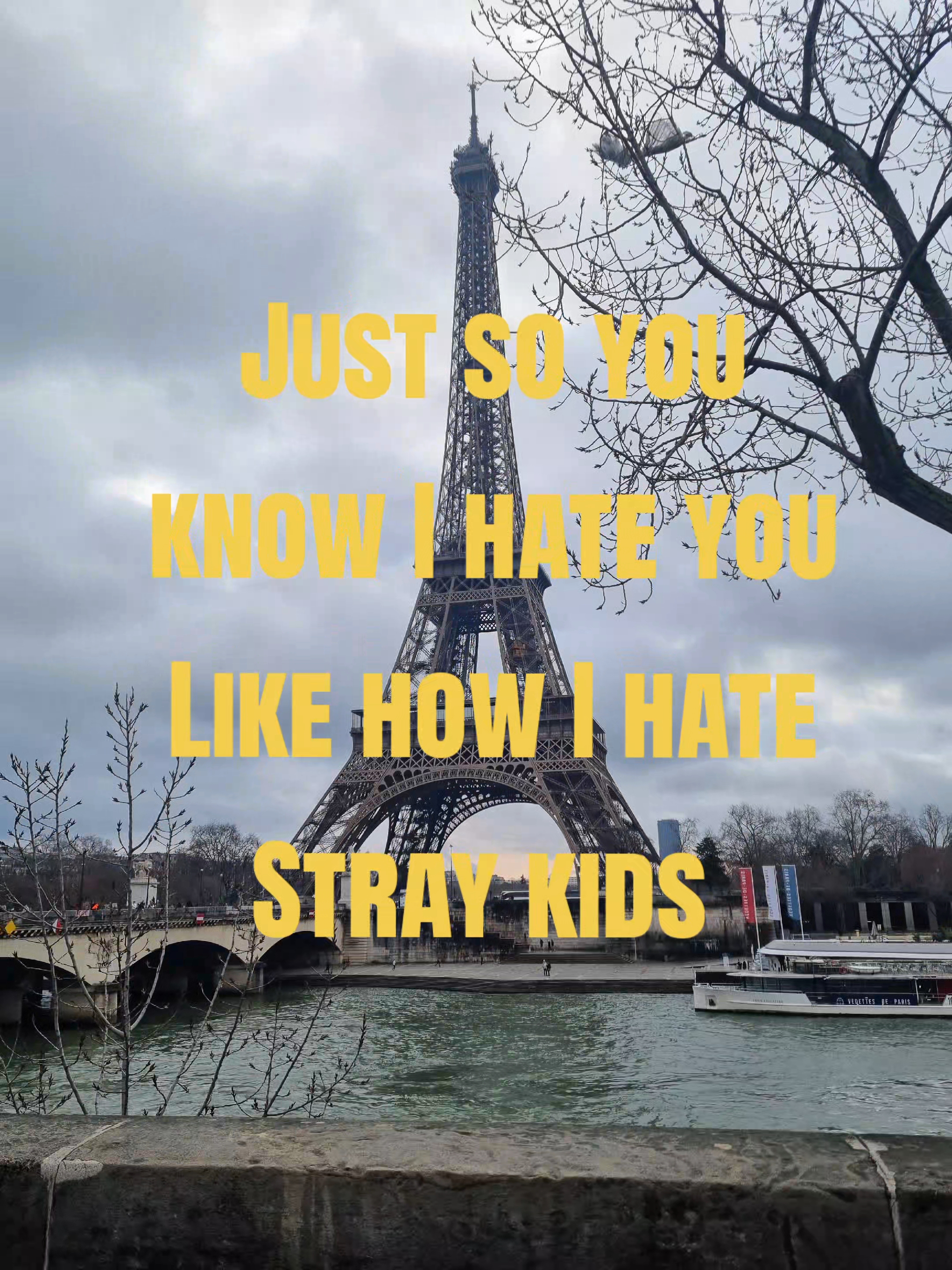 @𝑨𝒏𝒂skz⁷