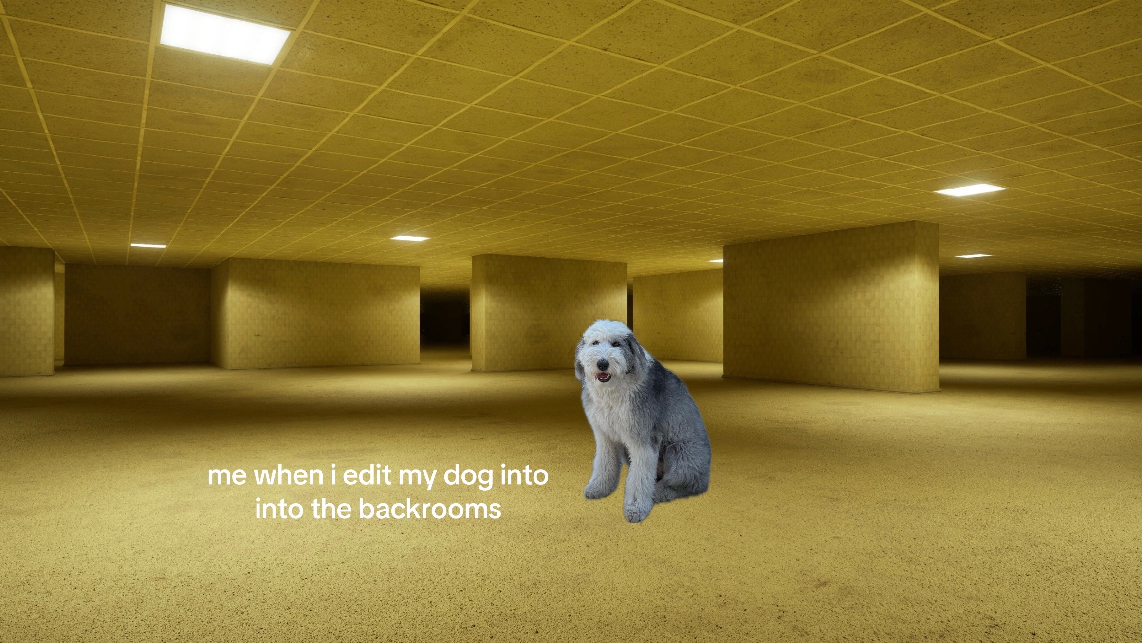 @Mei ❀