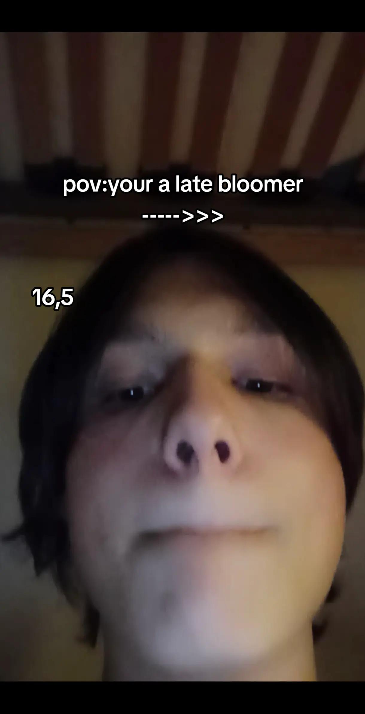 @Testo_Hamster