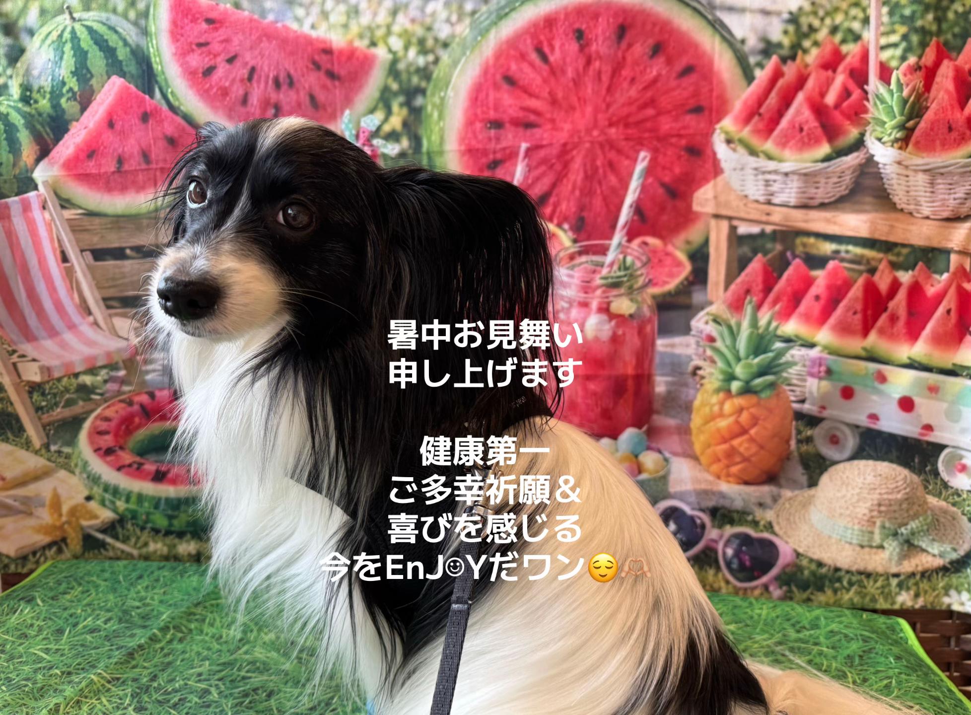 @倉木麻衣 公式アカウント
