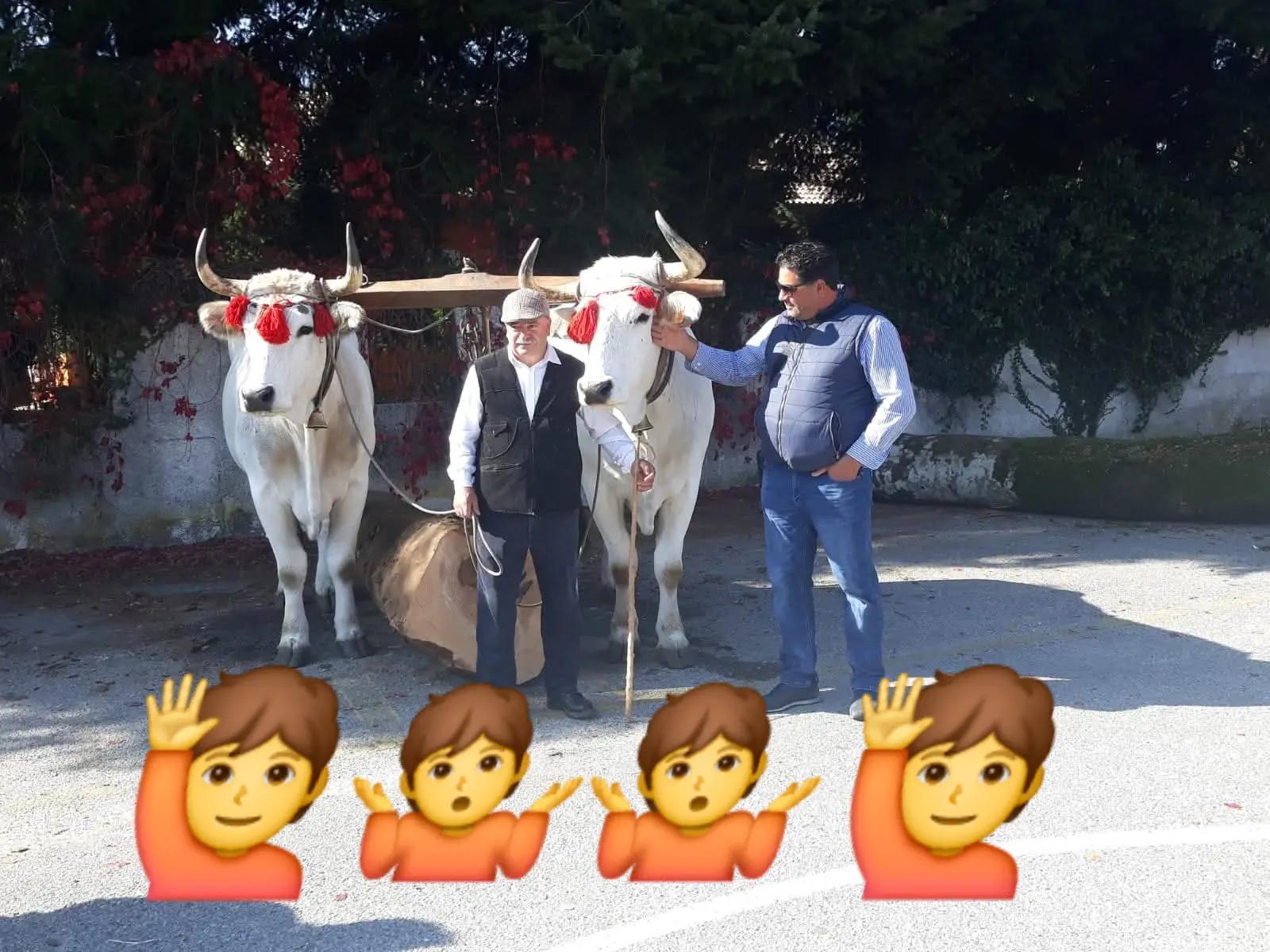 @GIGANTE BUONO