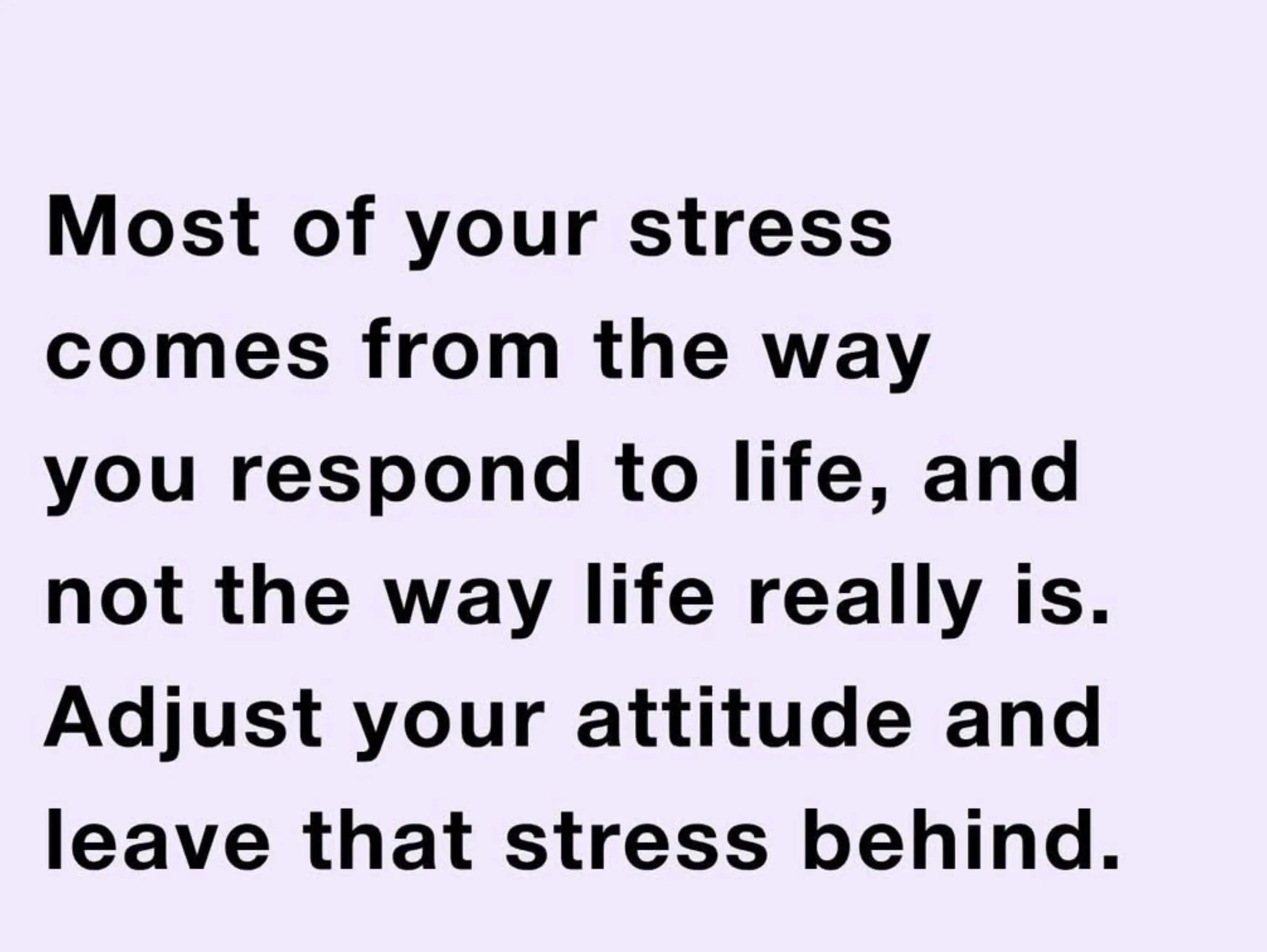 @Lisa@elevateyourlife