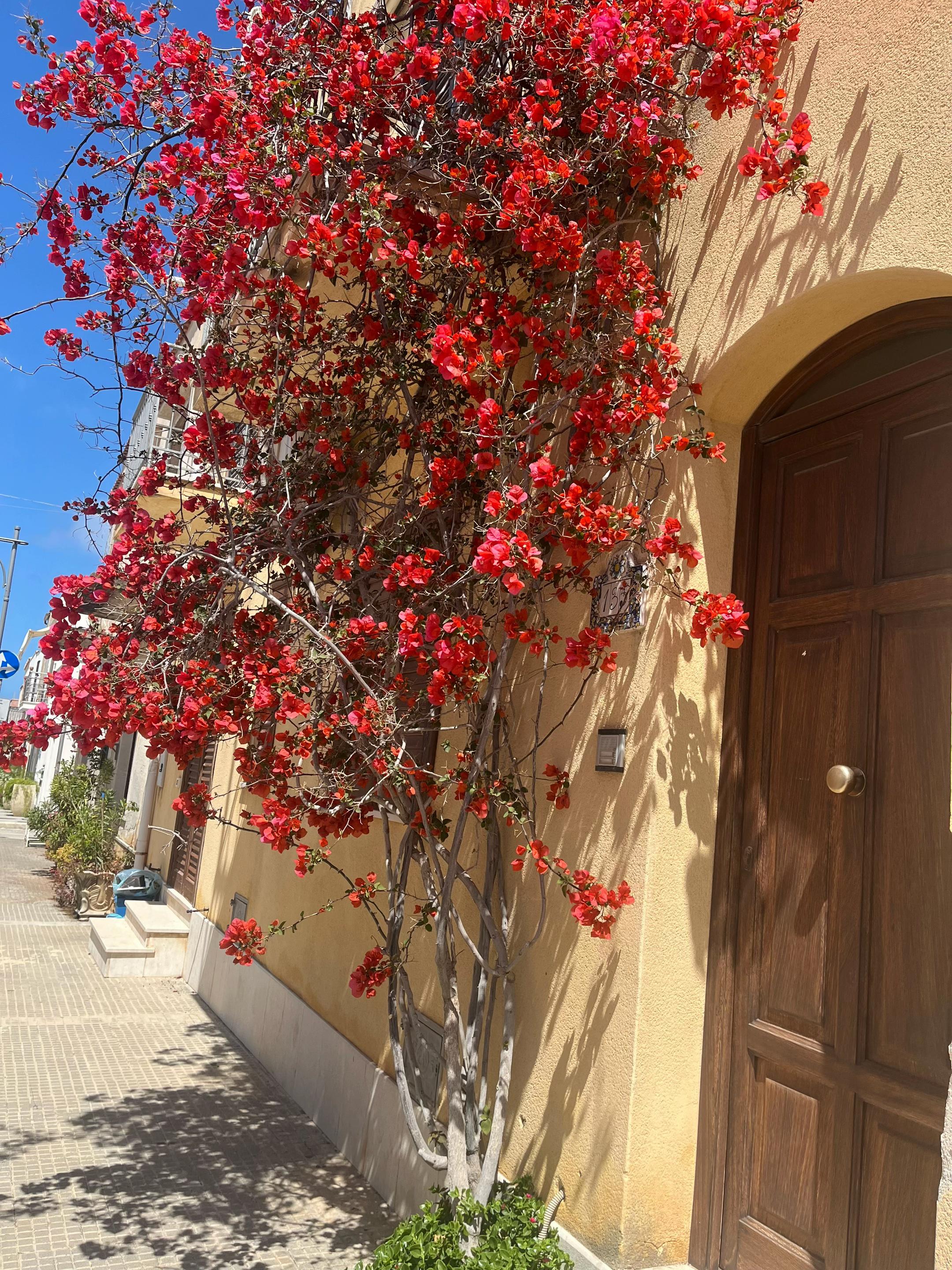 @We love San Vito lo Capo