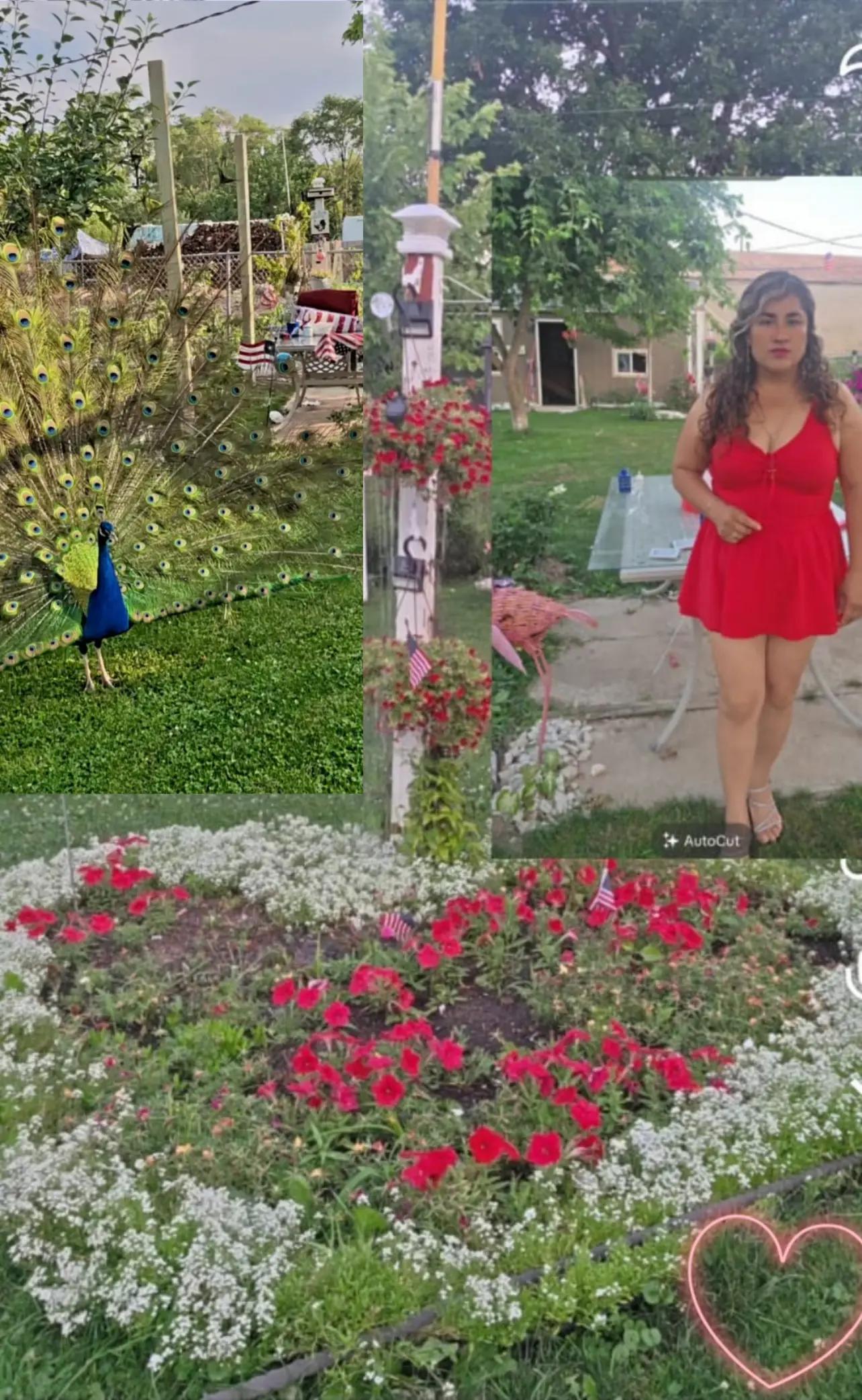 @🇺🇸  FLOR TORRES 🦚💔 🥰 🦃