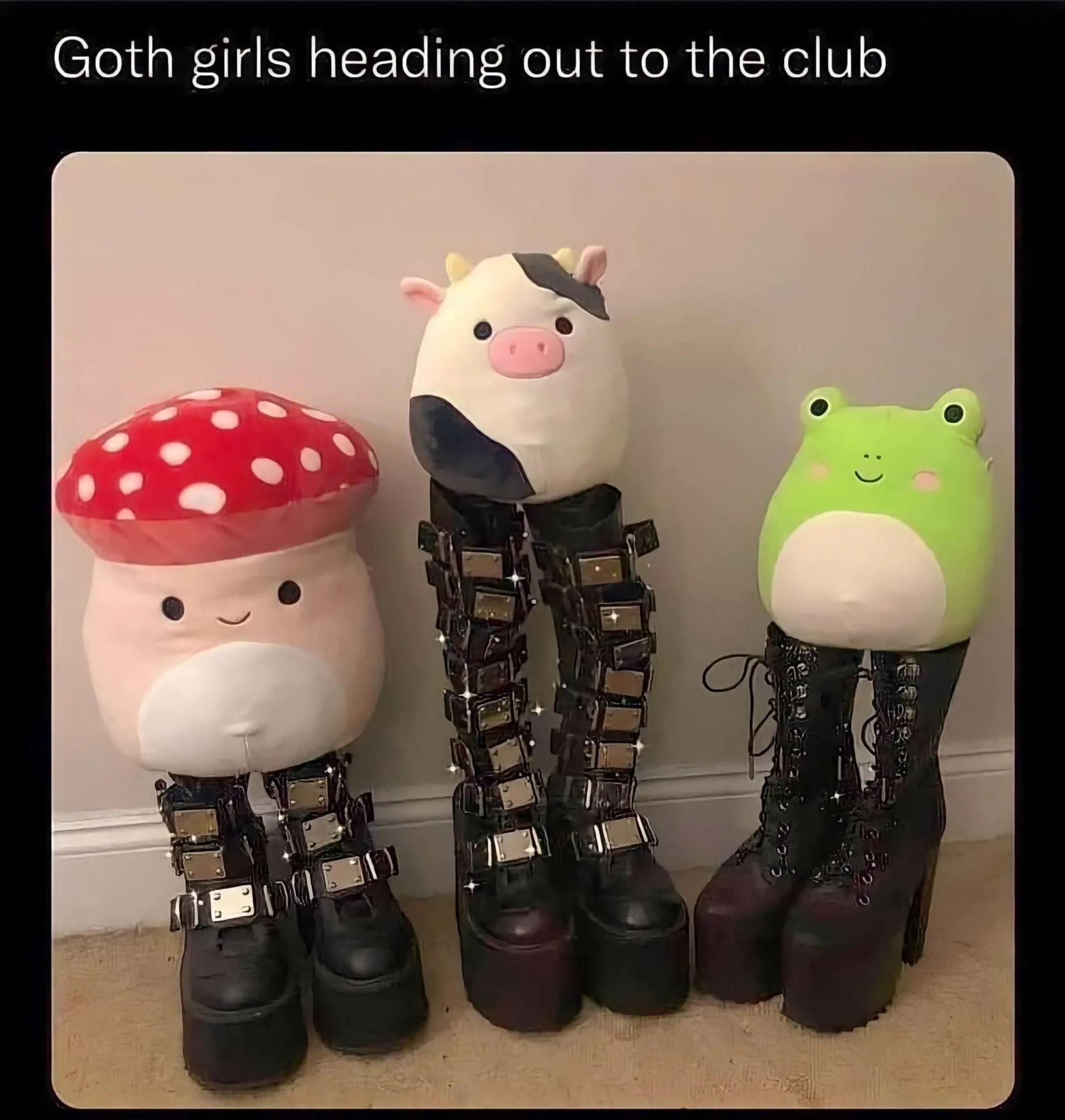 @Rogal XCX