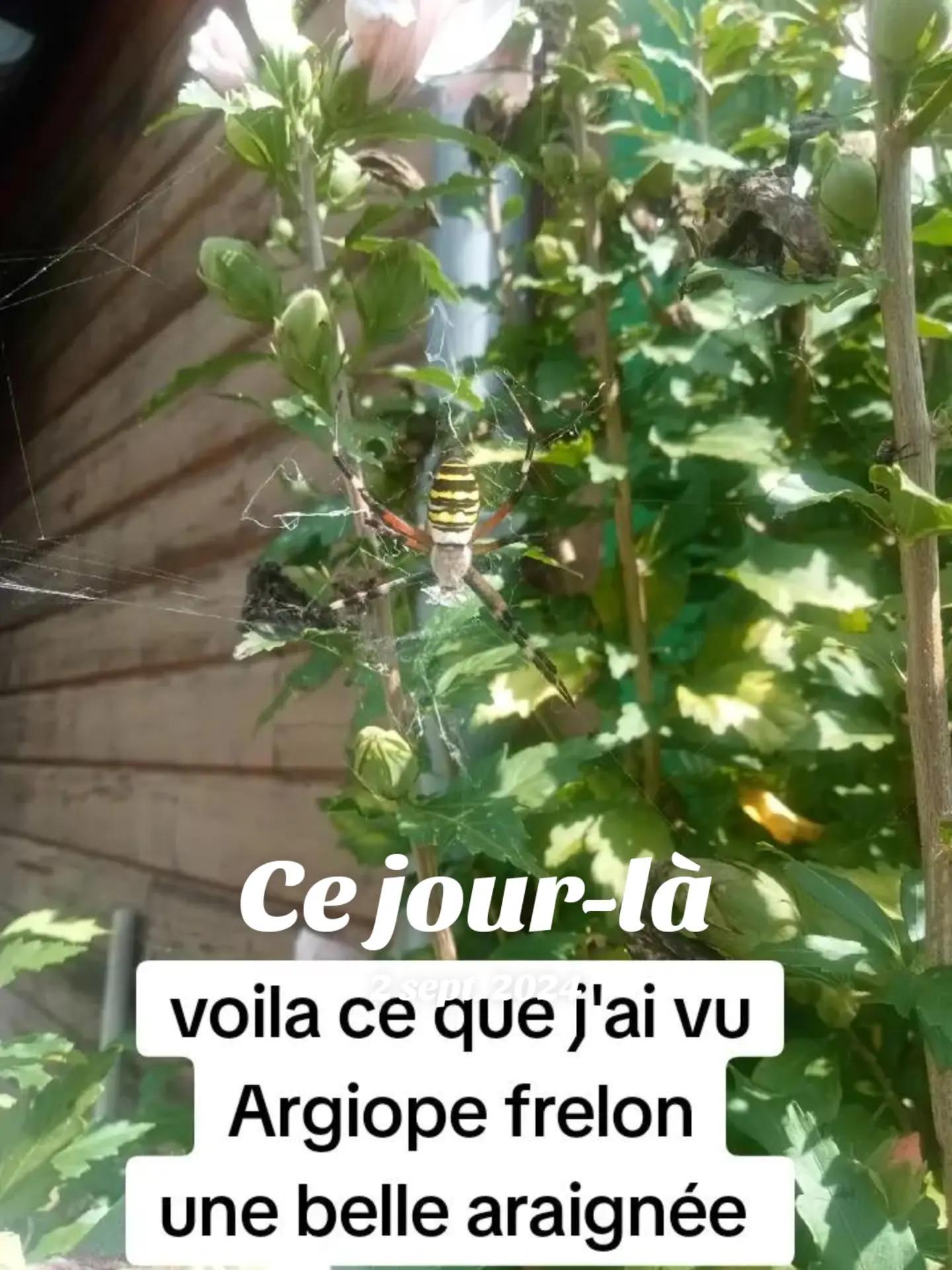 @Frédéric