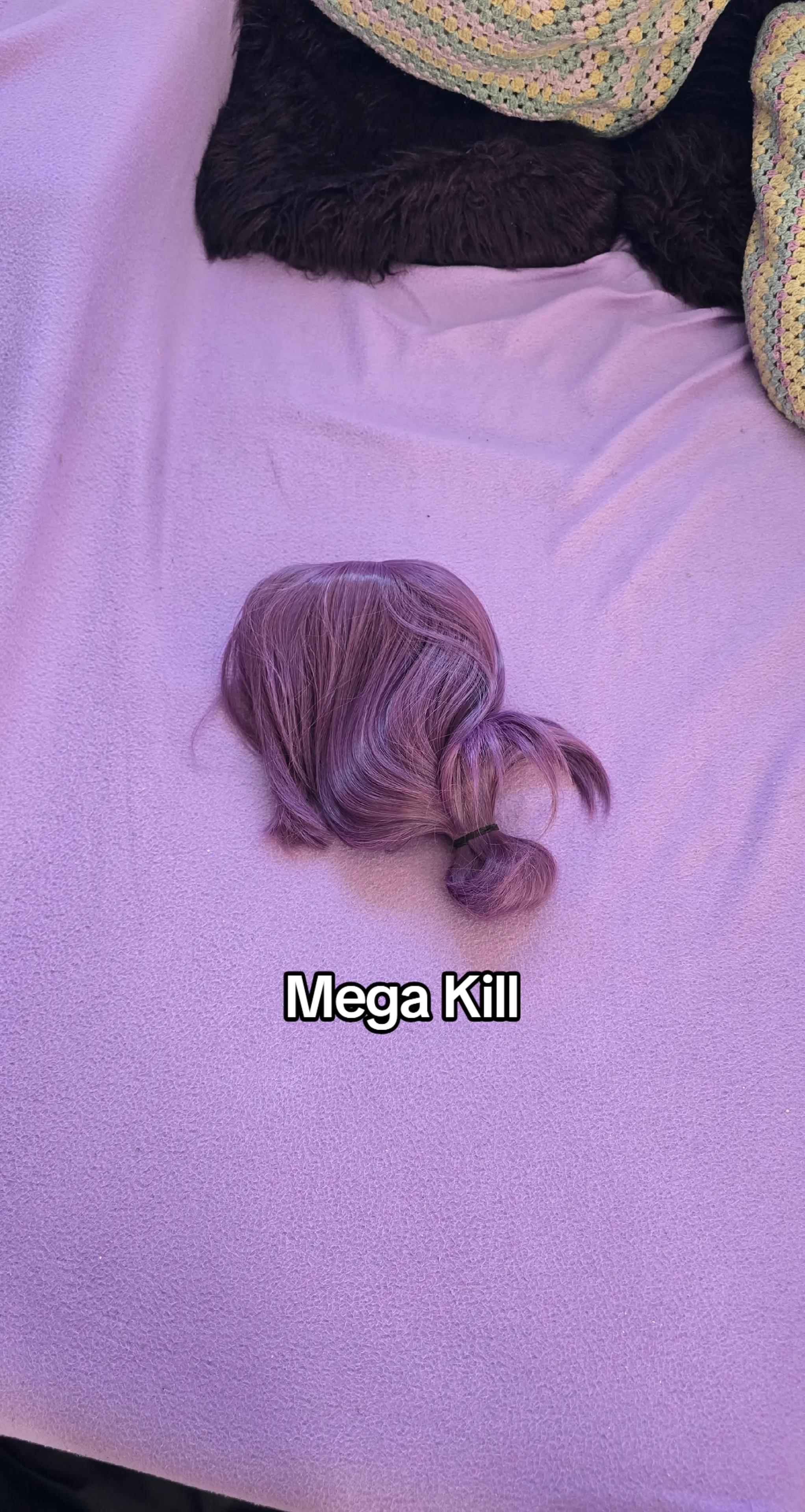 @twitch.tv/LunamiTV