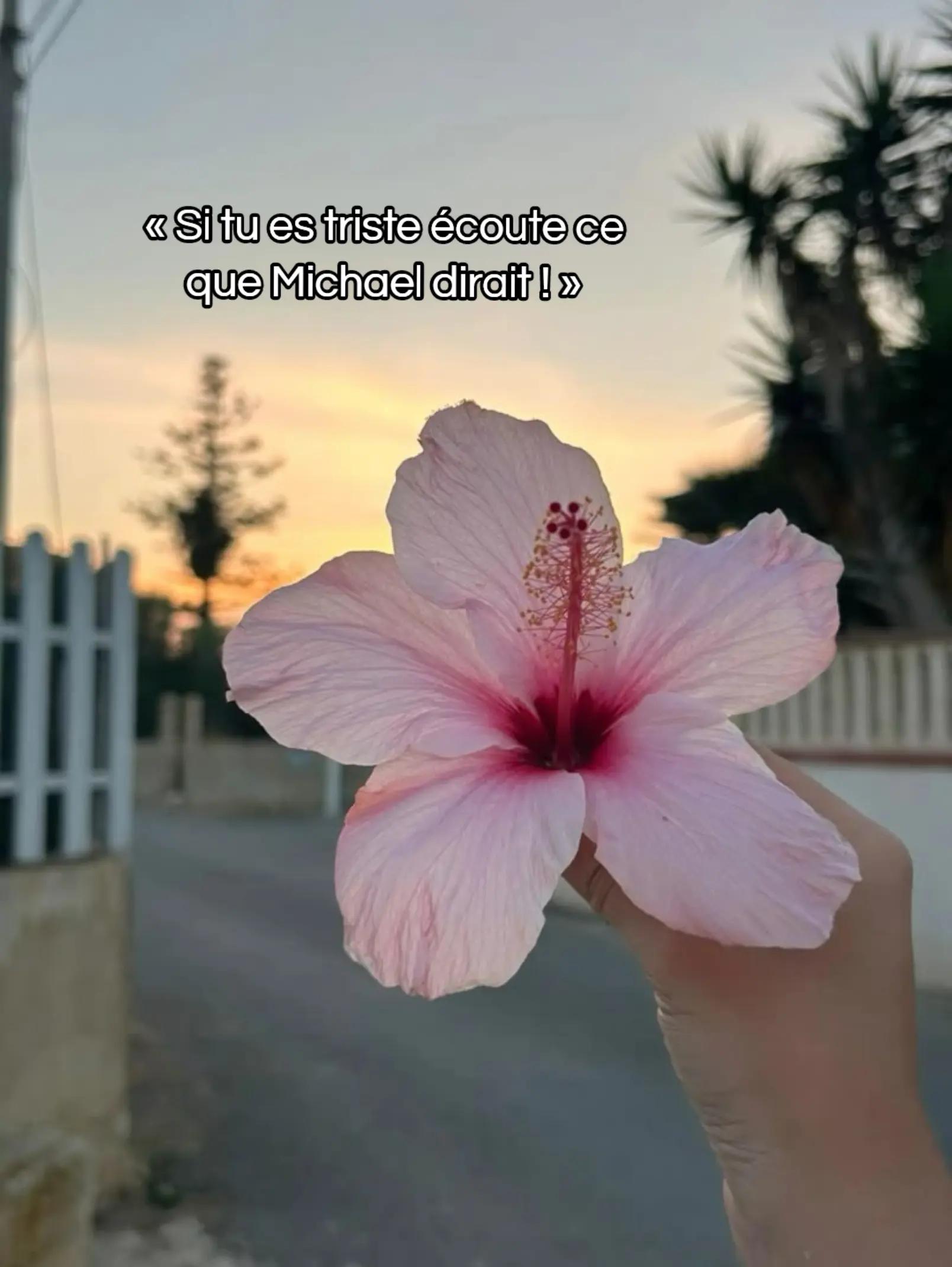 @𝙢𝙮𝙪𝙣𝙞𝙫𝙚𝙧𝙨𝙤𝙣𝙡𝙞𝙣𝙚