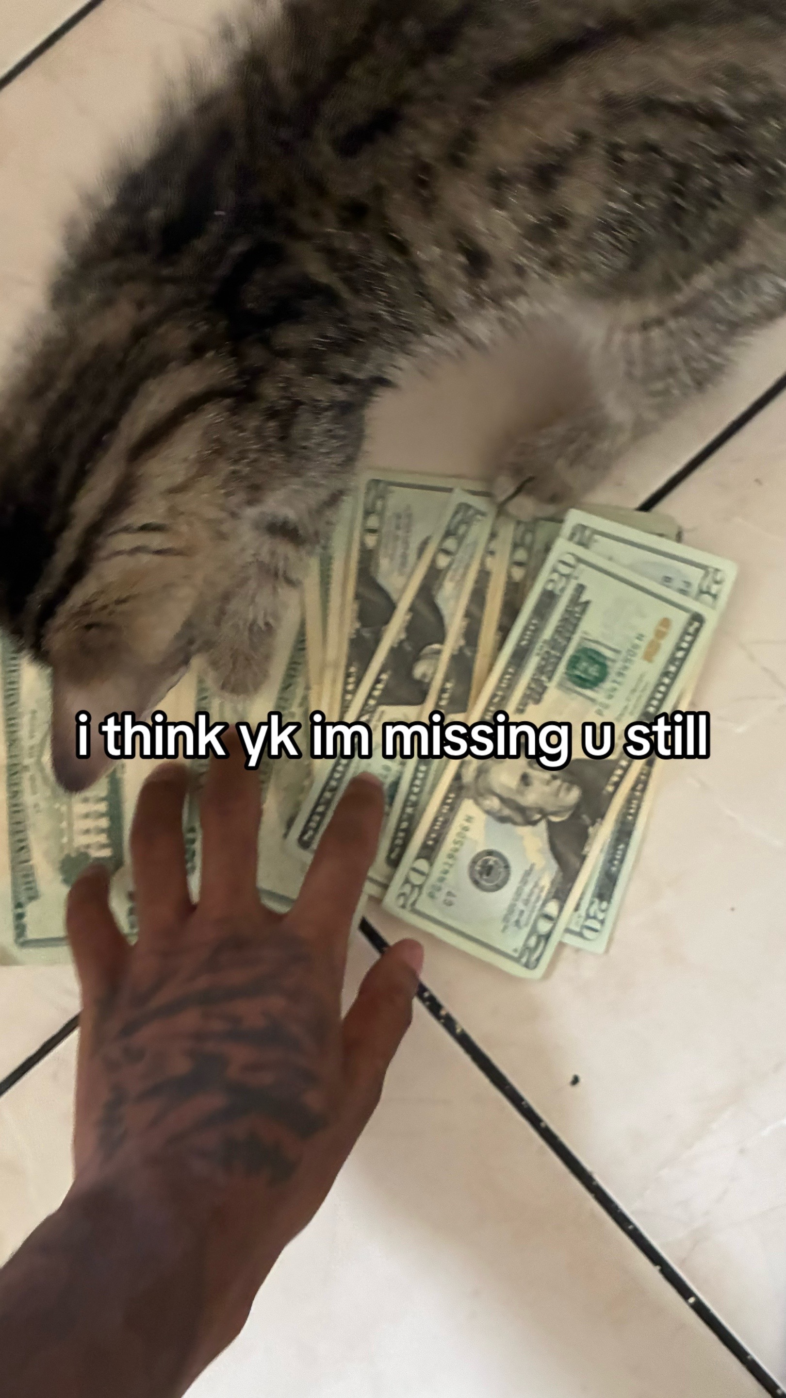 @K9