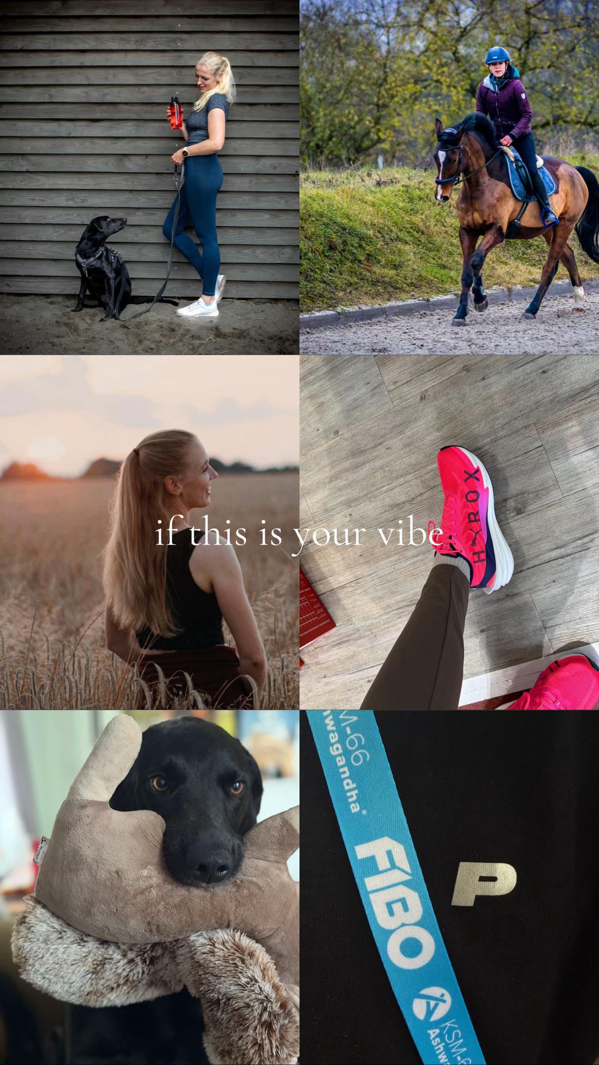 @blondsandbridles