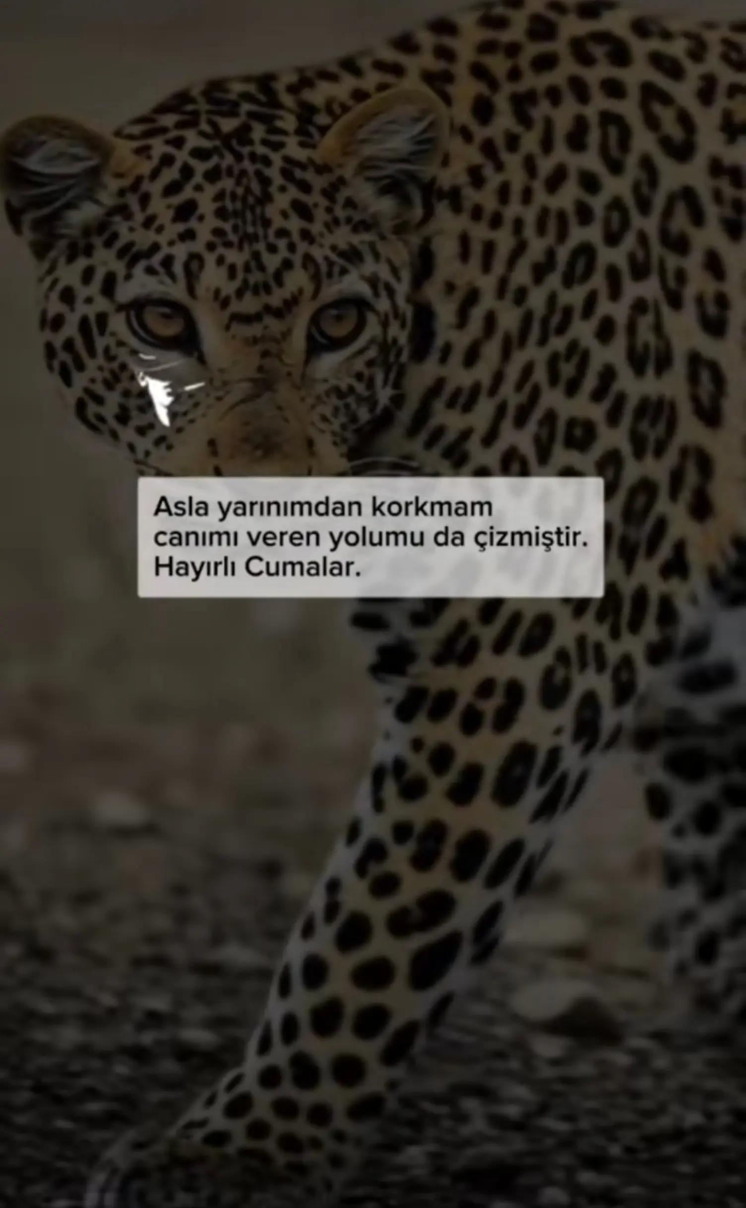 @ümit