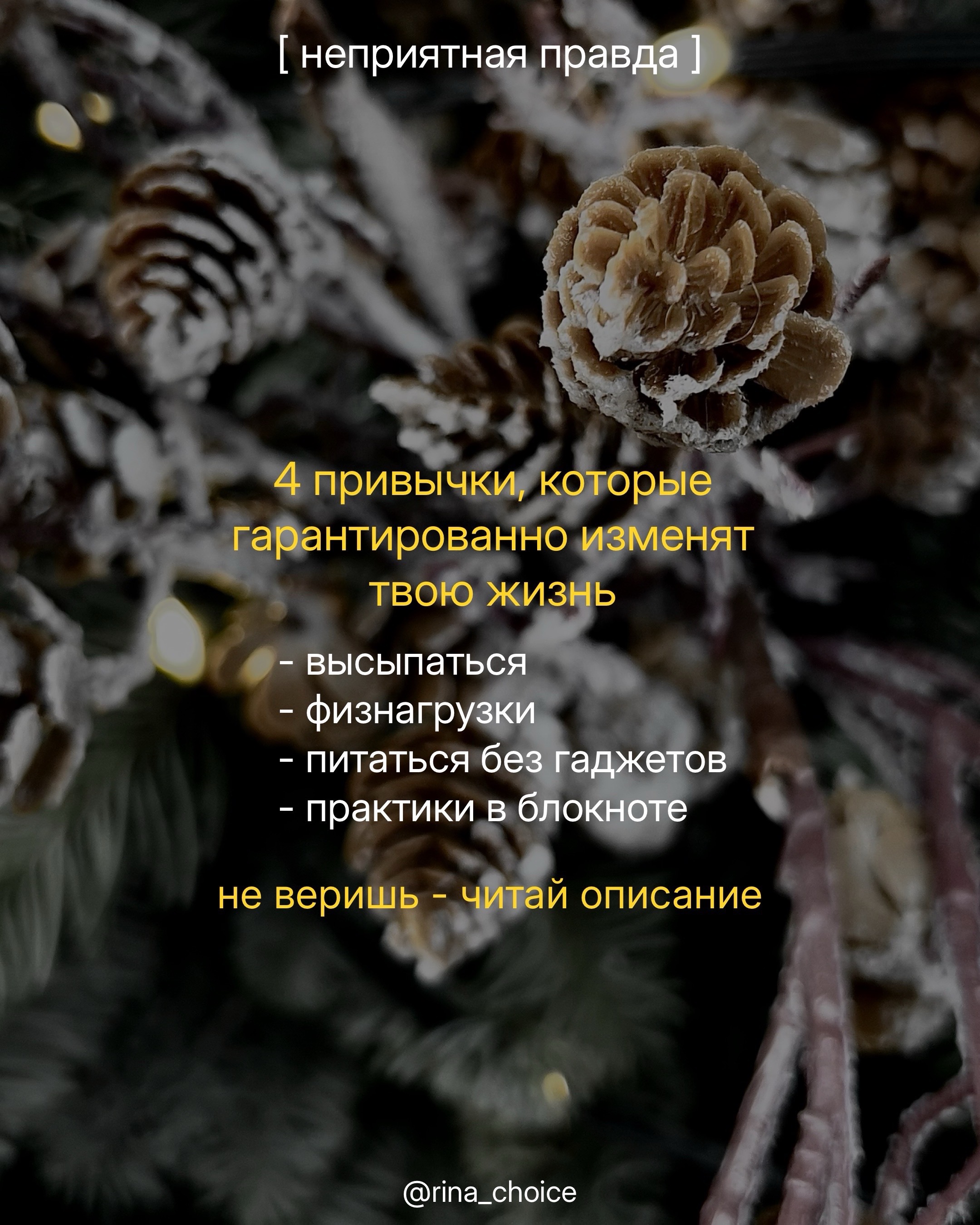 @РИНА