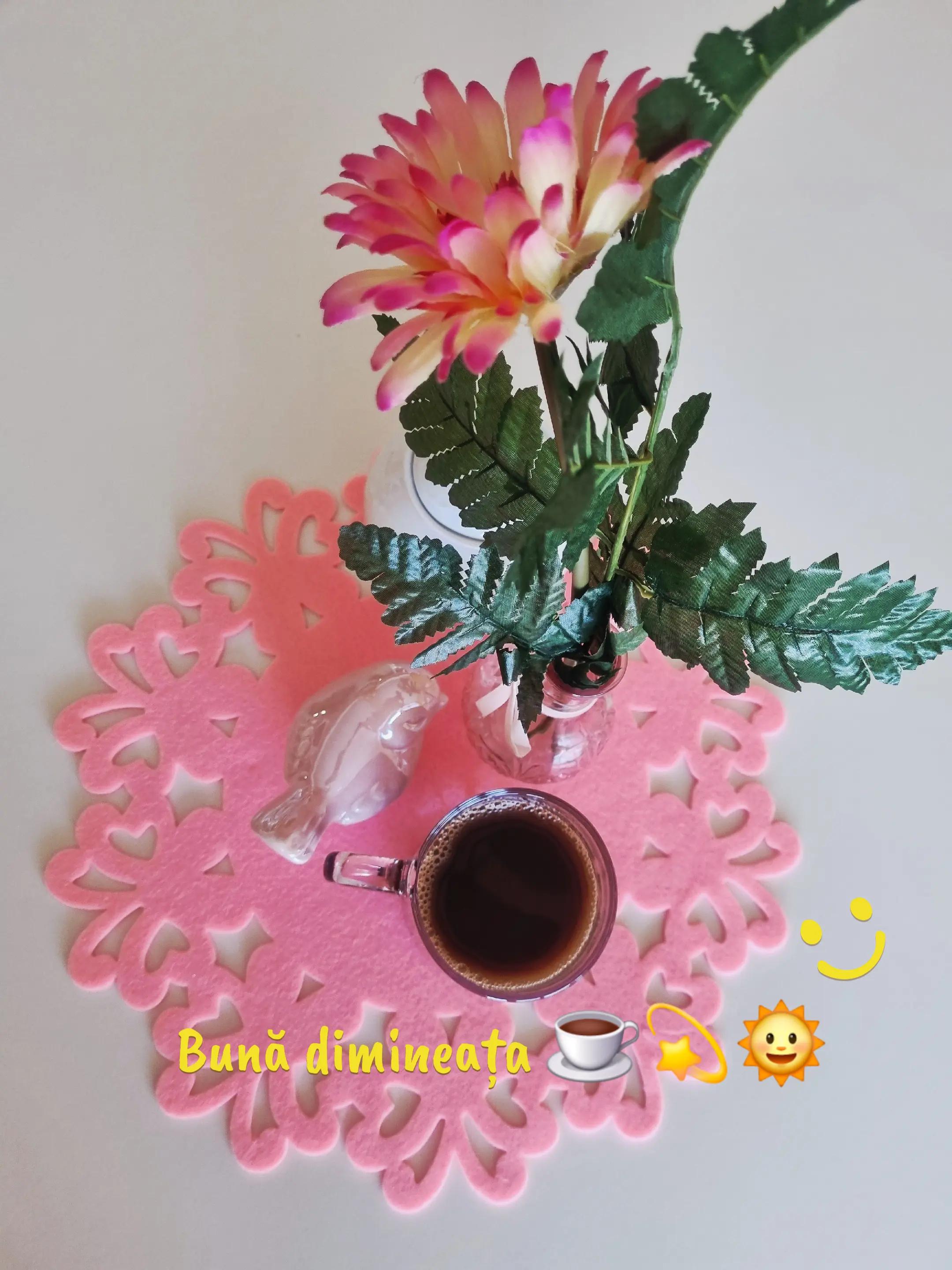 @🌹🌹🌹Monica🌹🌹🌹