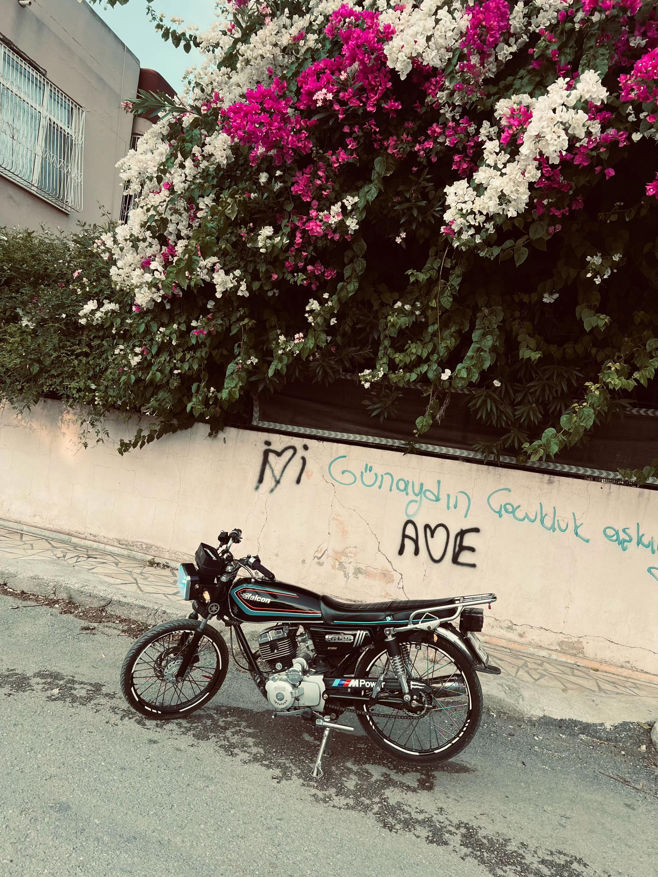 @01__a_h_m_e_d