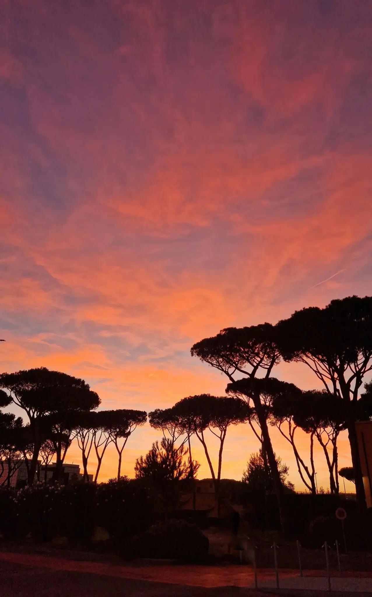 @Massimo de Fazio