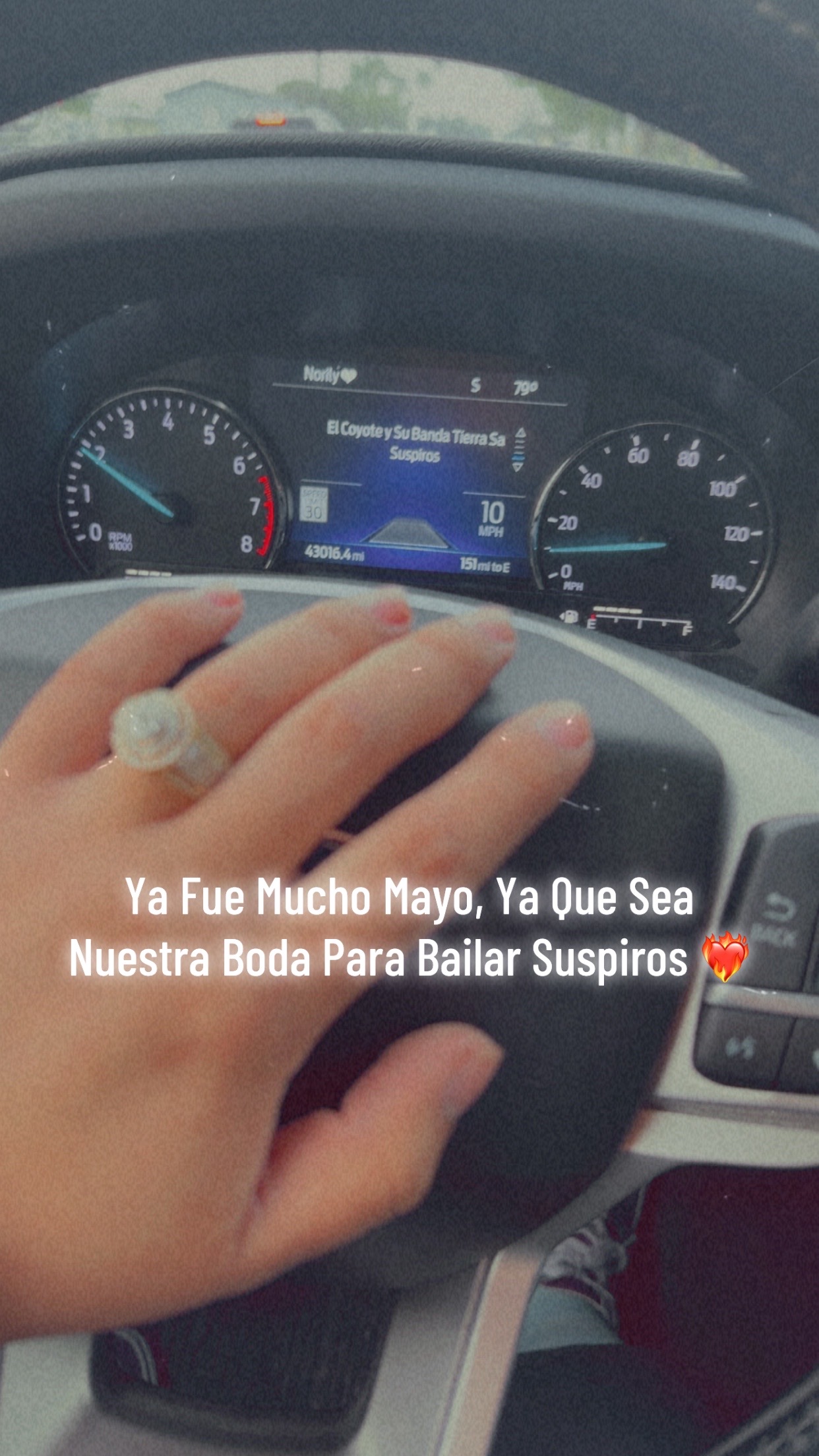@Norily Alvarez