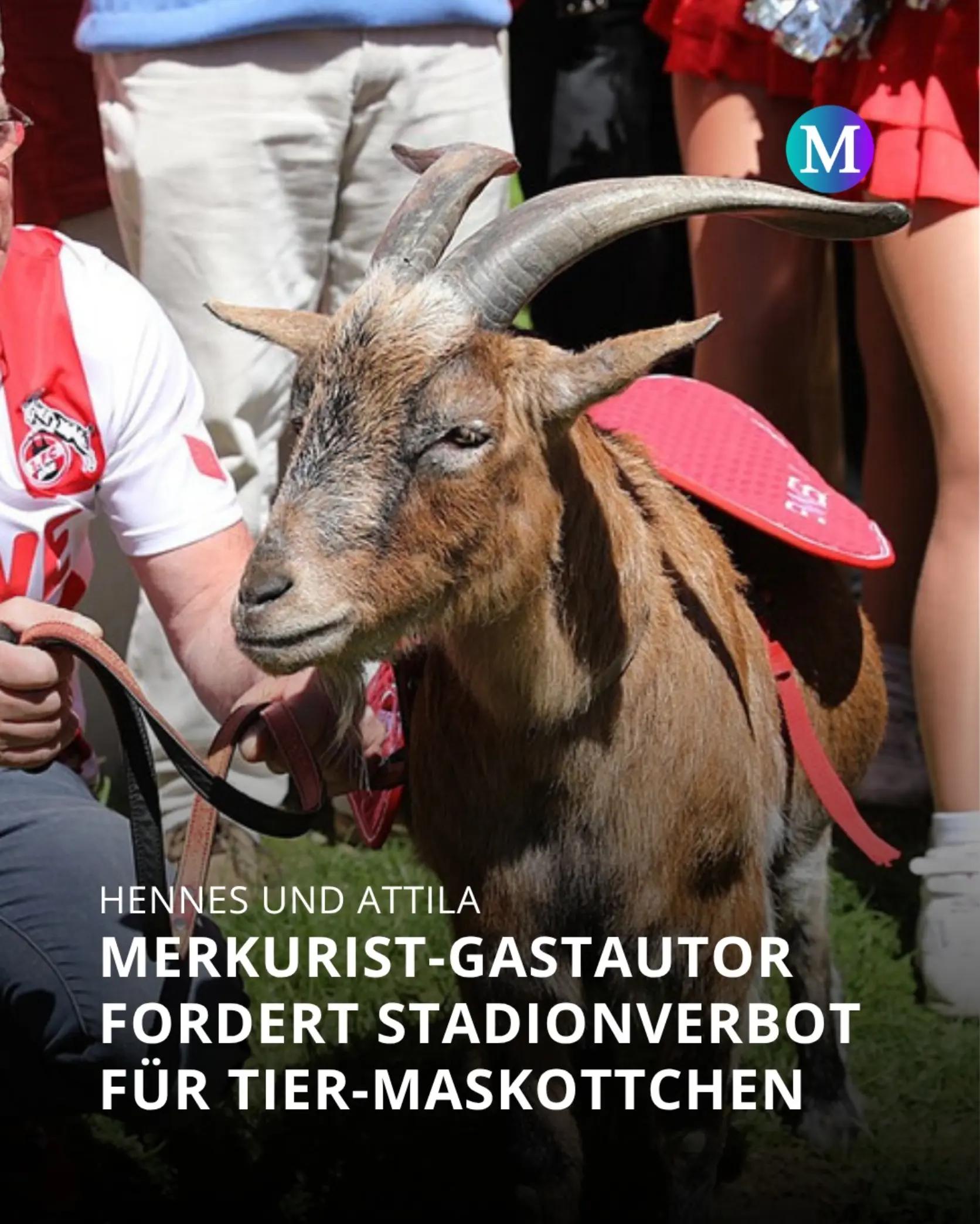 @Merkurist Mainz