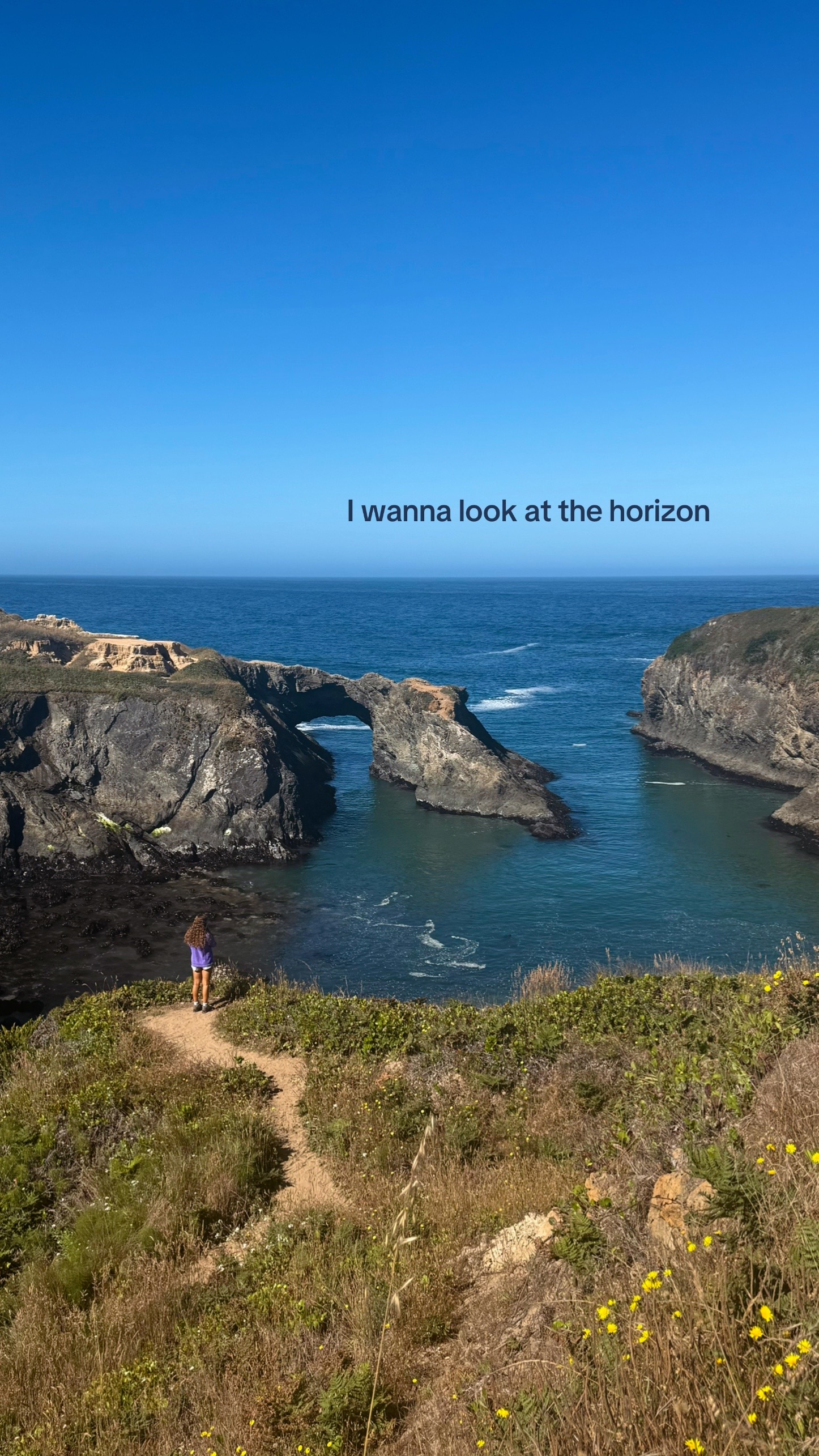 @hadley!