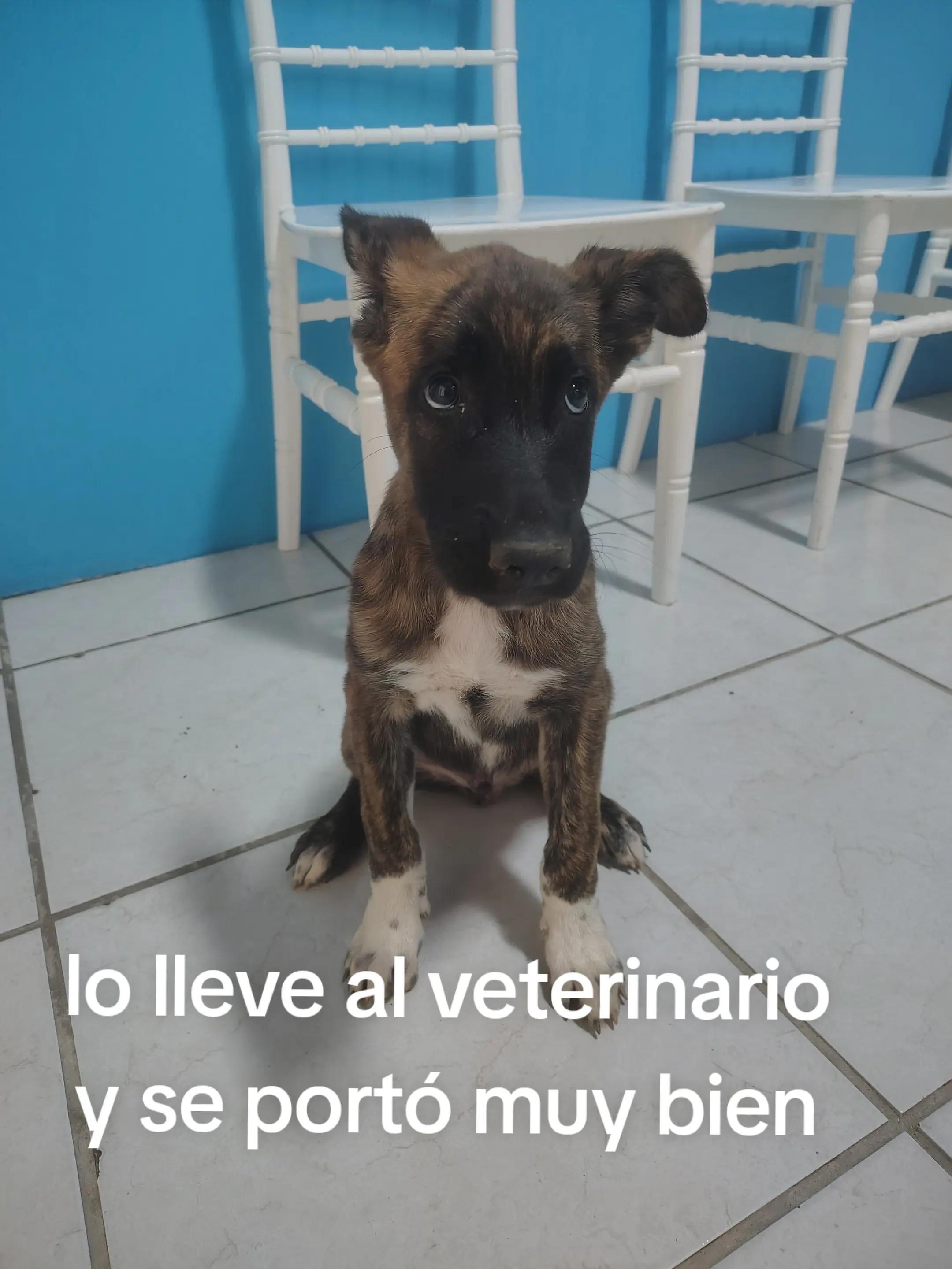 @Armando