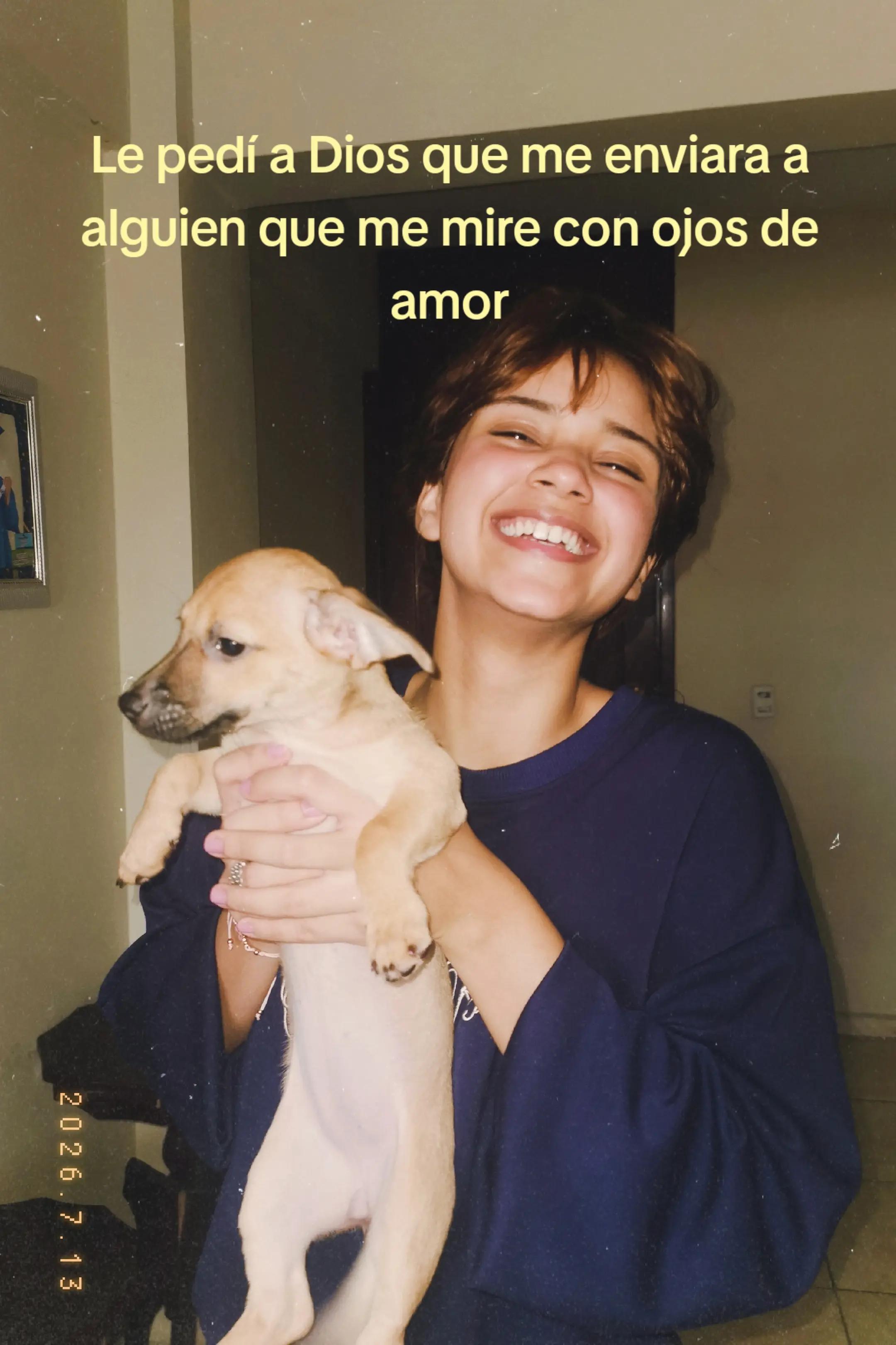 @ssildas