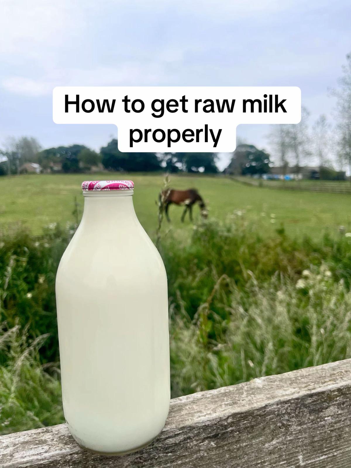 @🥩🥛🧀🌞