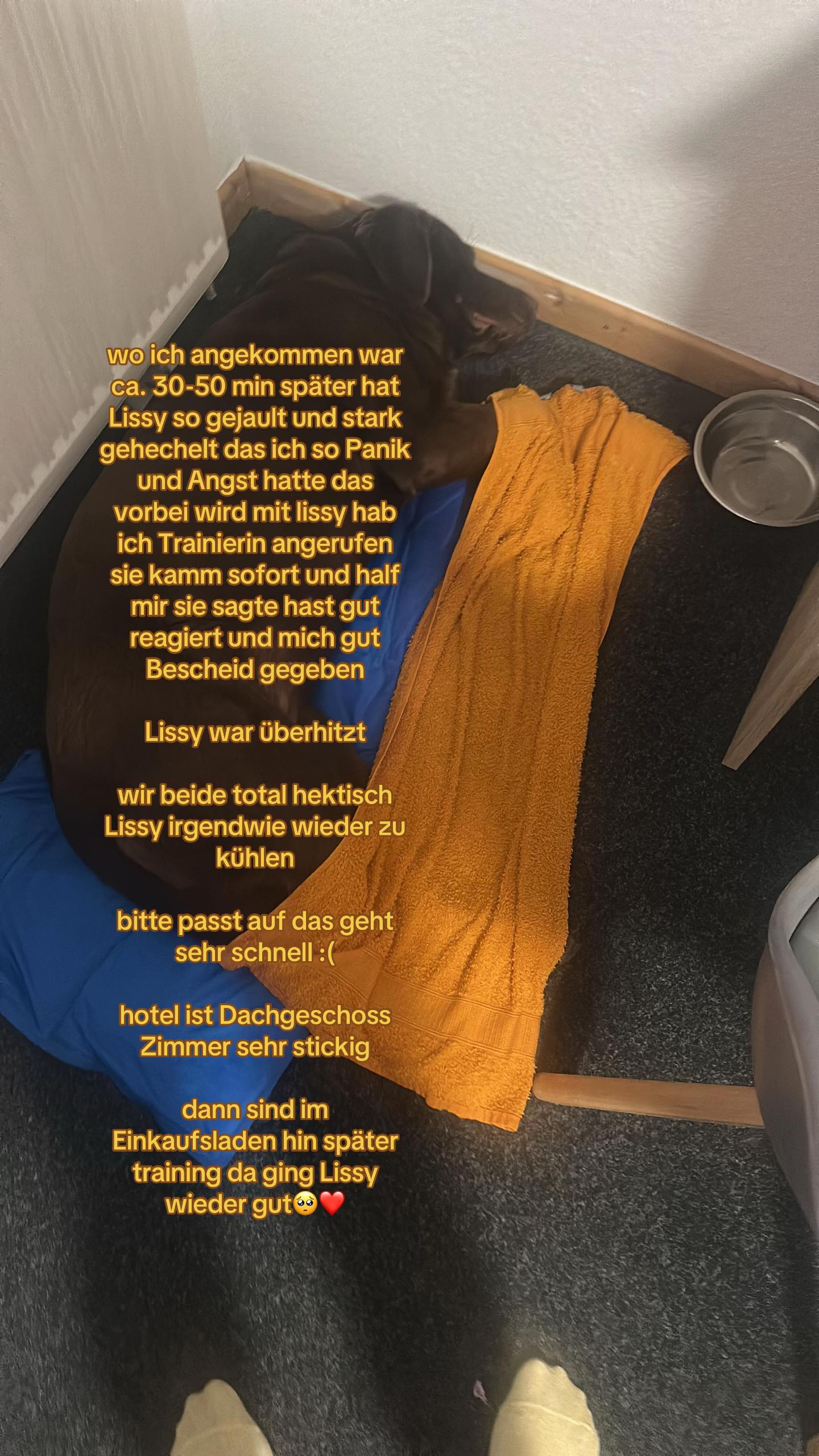 @teamlidialissy