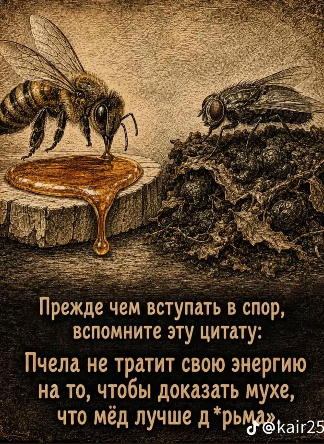 @Анна